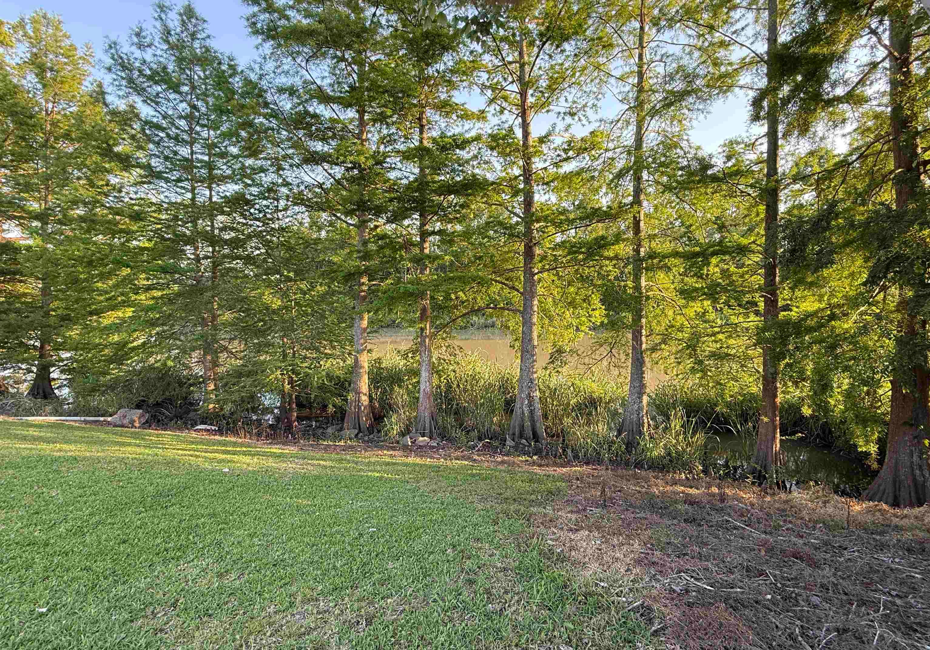 1466 Highway 308, Thibodaux, Louisiana image 1