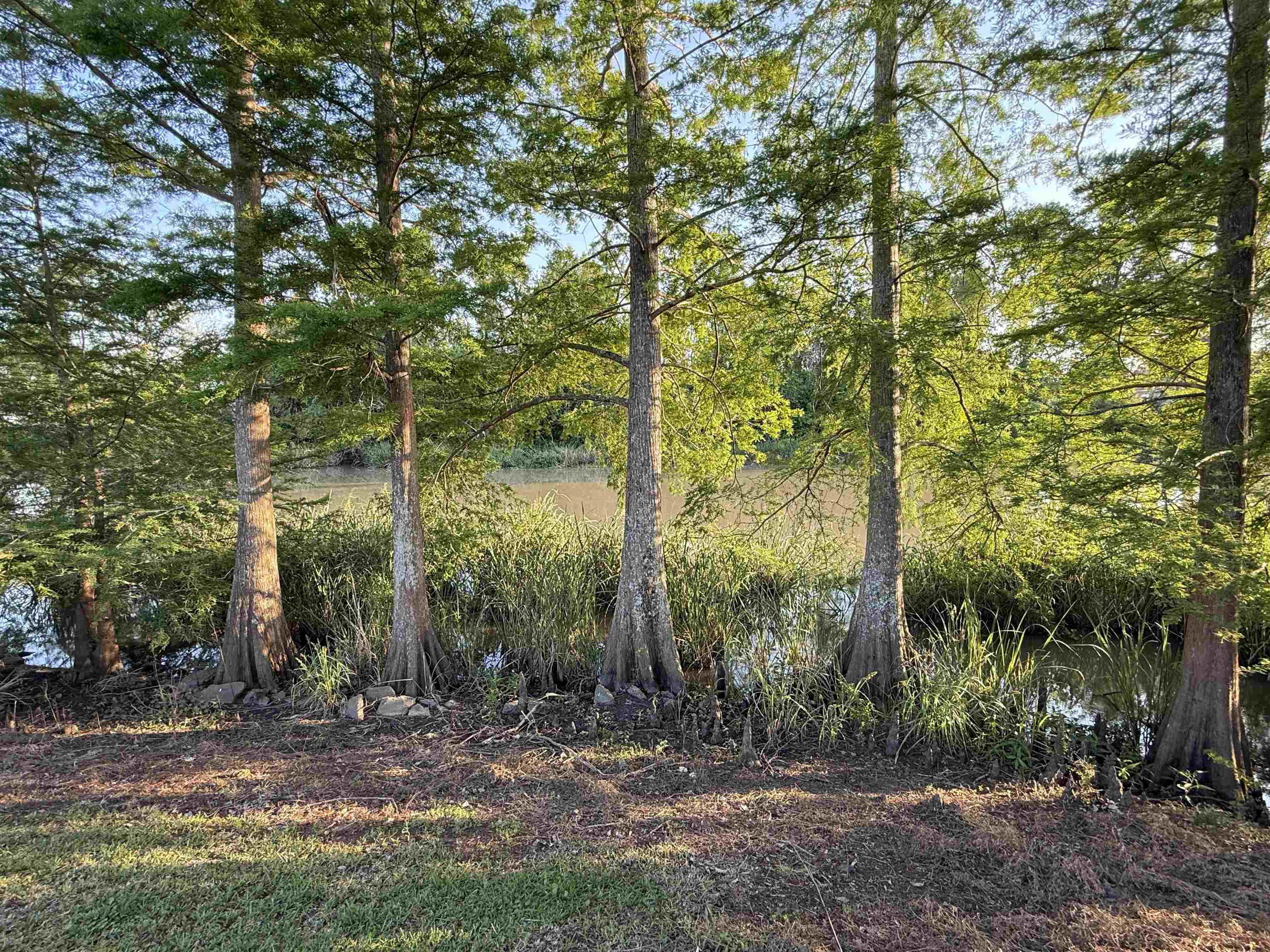 1466 Highway 308, Thibodaux, Louisiana image 7