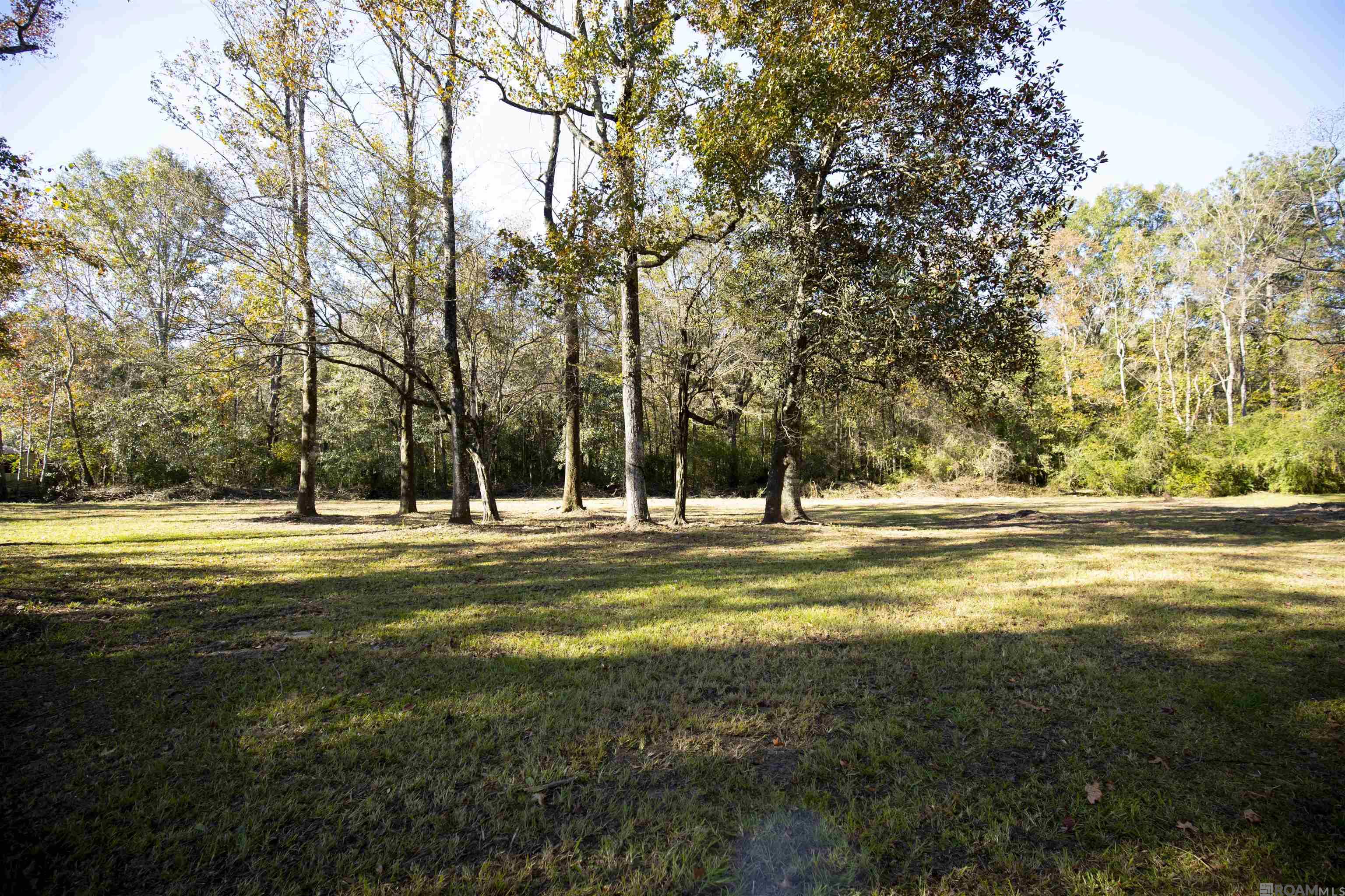 14401 W Beaver Dr, Pride, Louisiana image 3