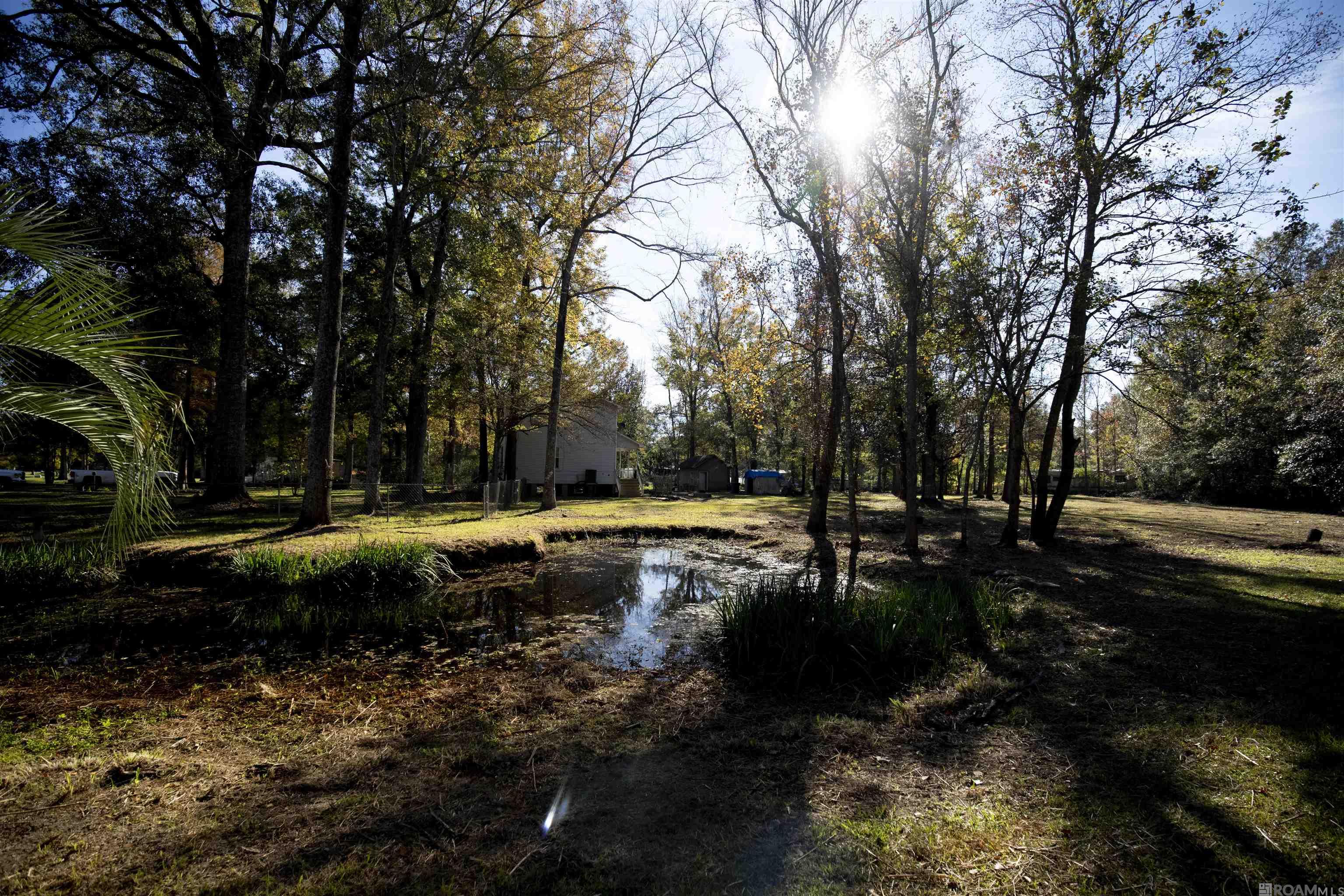 14401 W Beaver Dr, Pride, Louisiana image 18