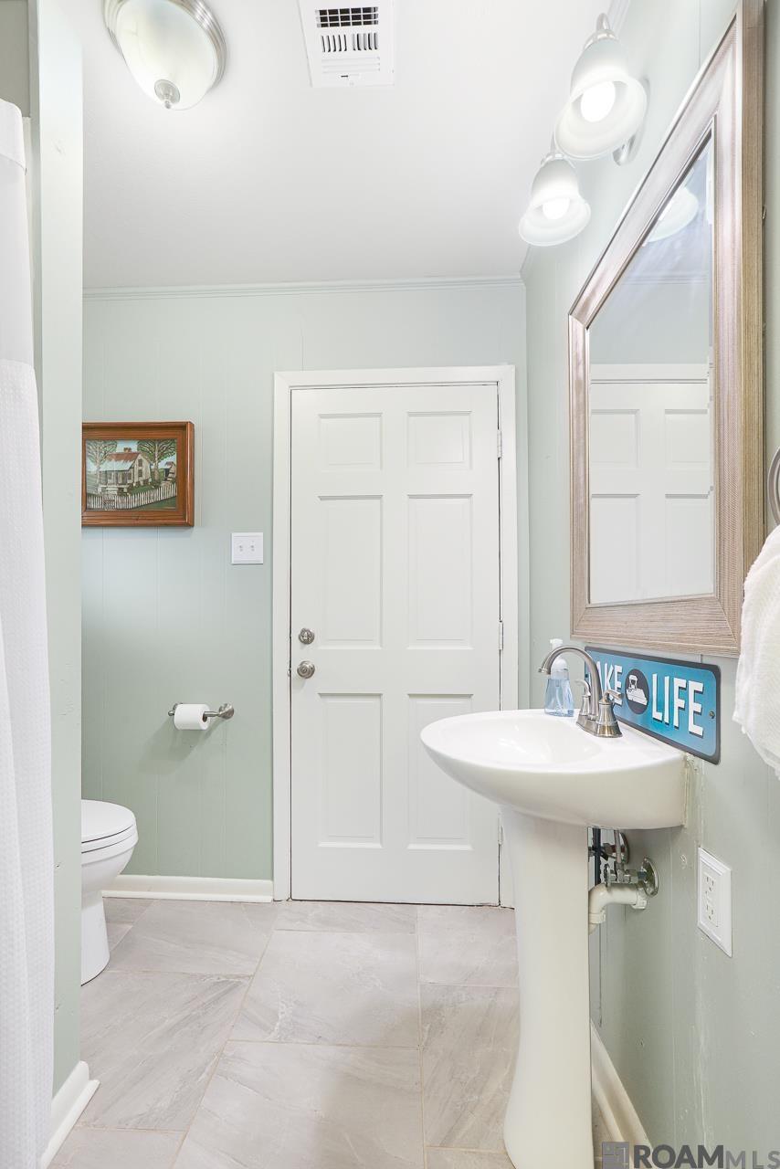 8609 Island Rd, Ventress, Louisiana image 24