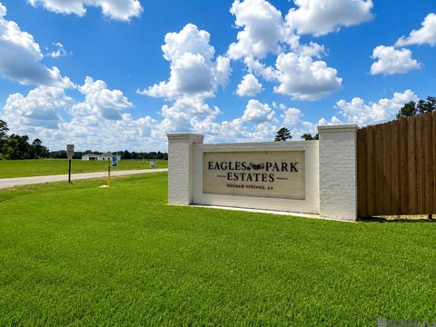 Vacant Land For Sale - 24132 Red Tail Lane<br/> Livingston County, Denham Springs, LA 70726