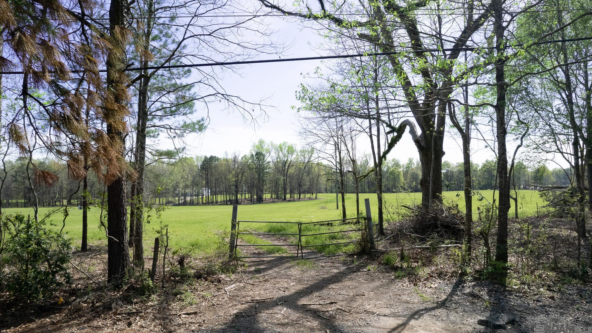 Lot LH-2C-A La Hwy 421, Saint Francisville, Louisiana image 4