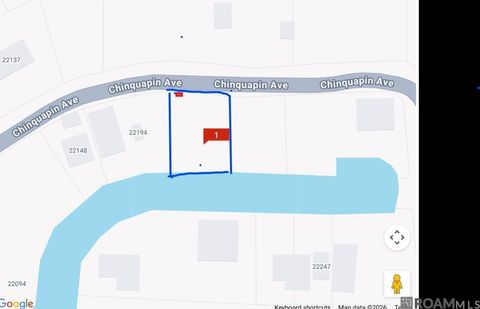 Vacant Land For Sale - 22222 Chinquapin Ave<br/> Maurepas, LA 70449