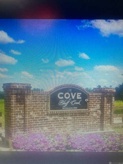 Vacant Land For Sale - LOT 17 Feliciana Court<br/> Clinton, LA 70722