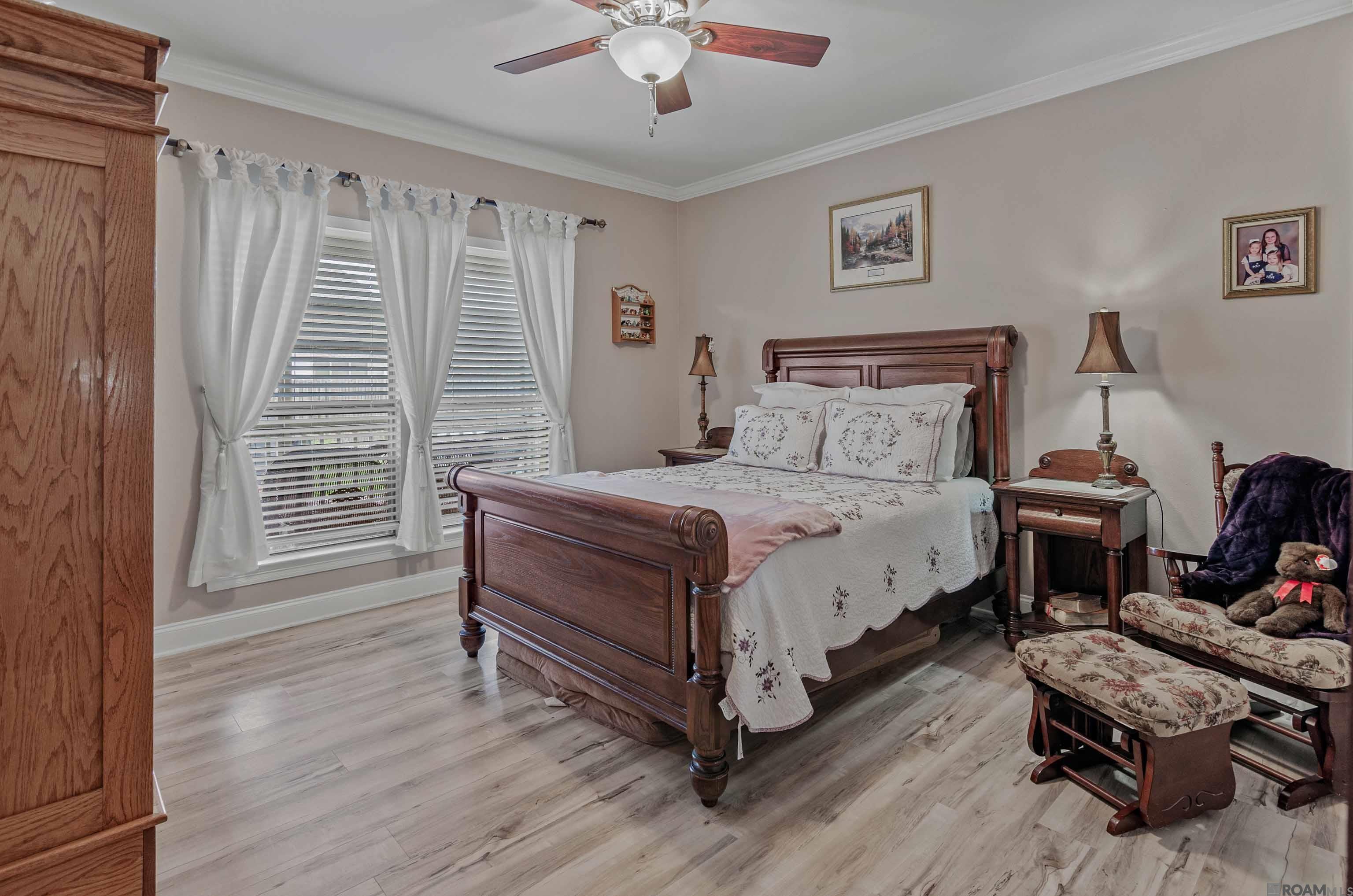 13255 Mill Point Dr, Gonzales, Louisiana image 13