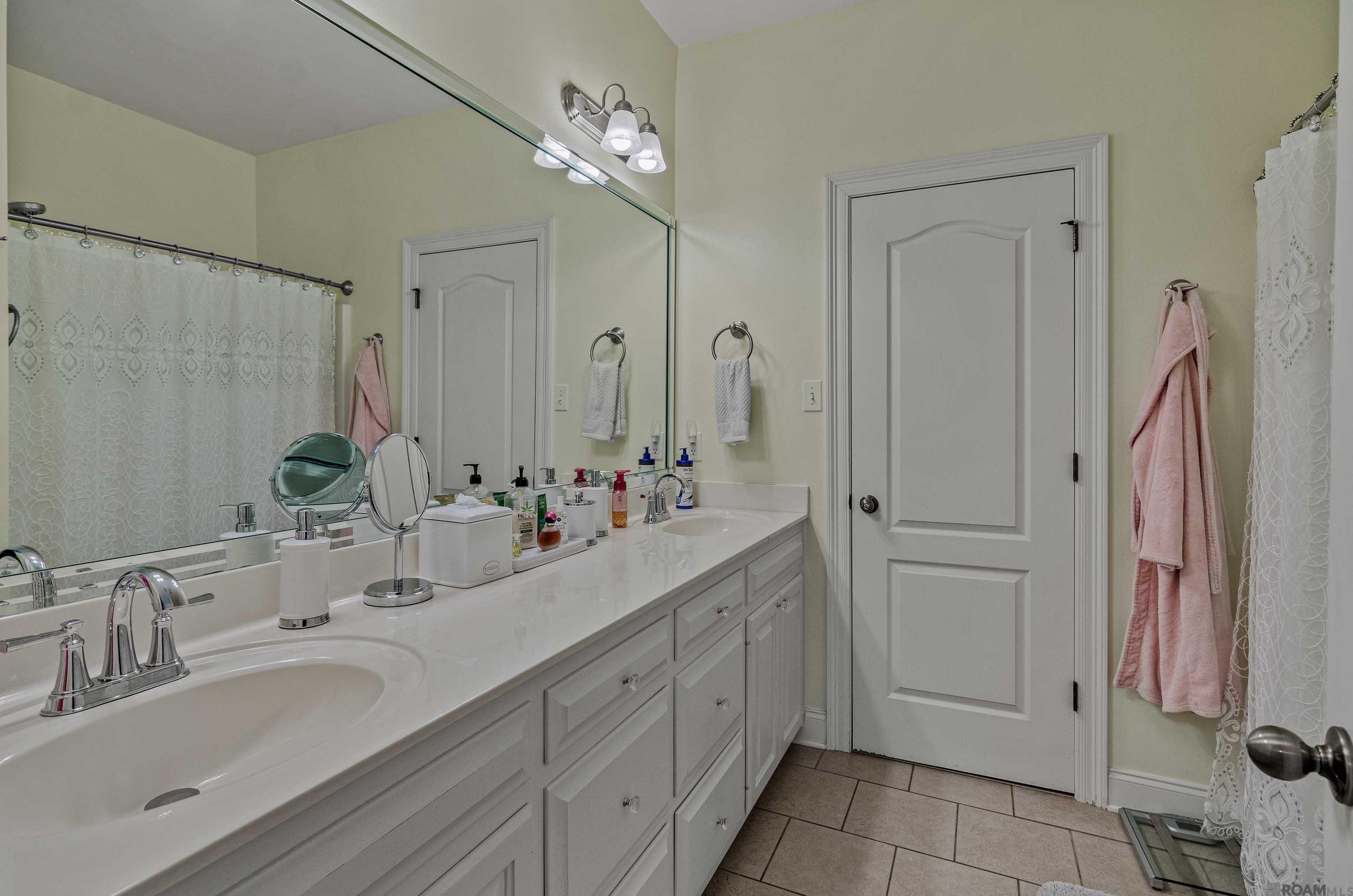 13255 Mill Point Dr, Gonzales, Louisiana image 17