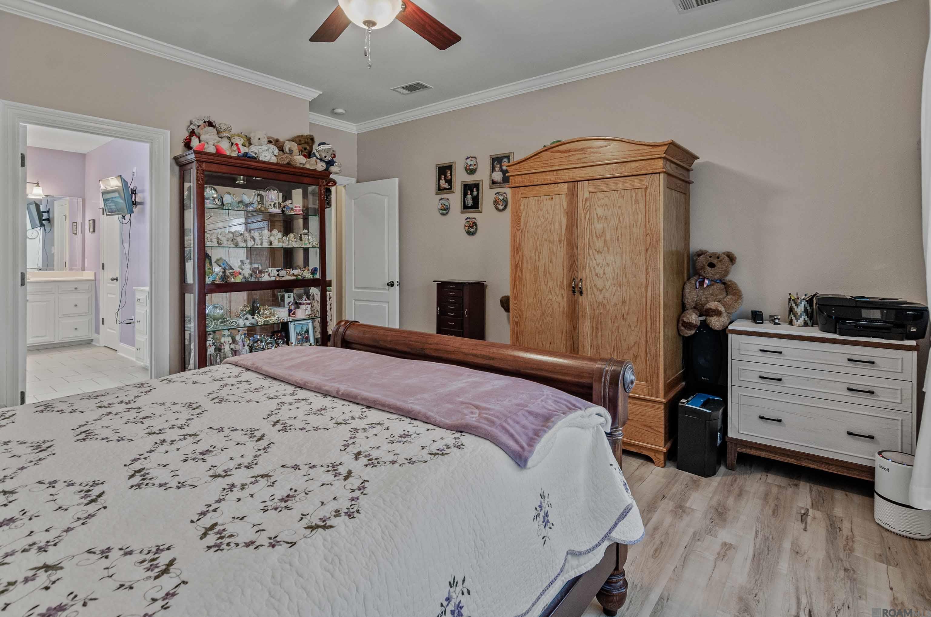 13255 Mill Point Dr, Gonzales, Louisiana image 14