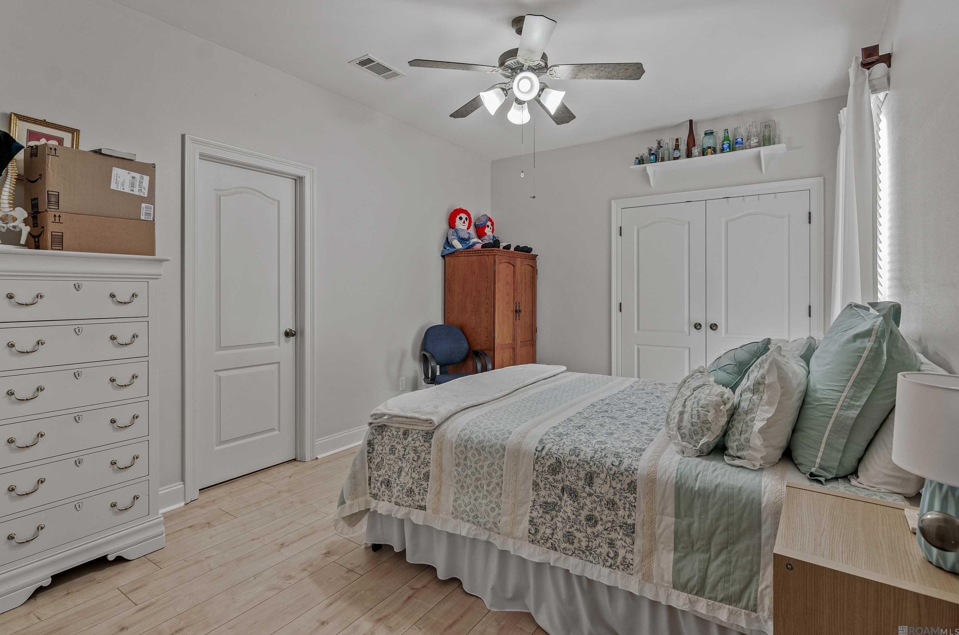 13255 Mill Point Dr, Gonzales, Louisiana image 18