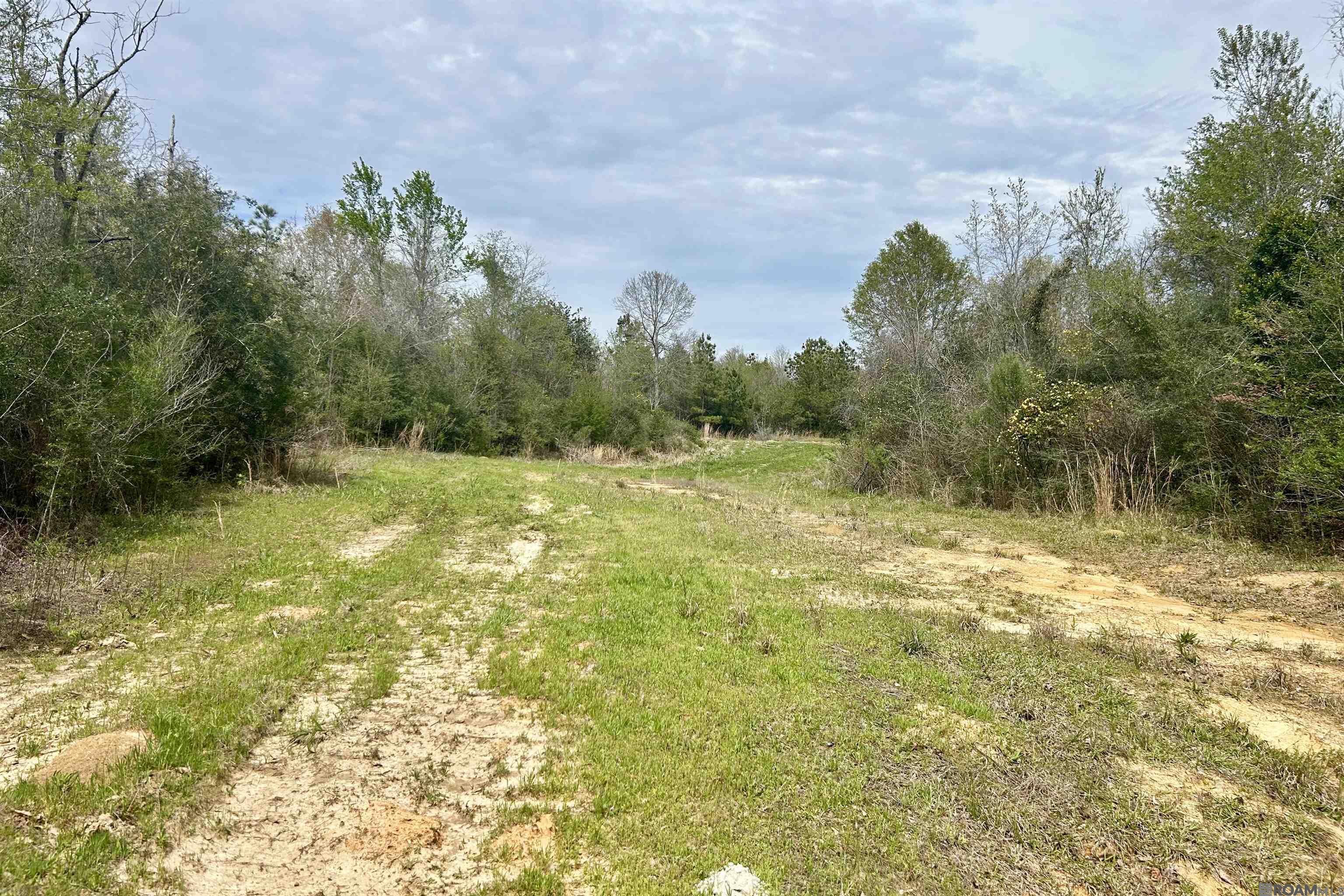 20 La Hwy 960, Clinton, Louisiana image 13