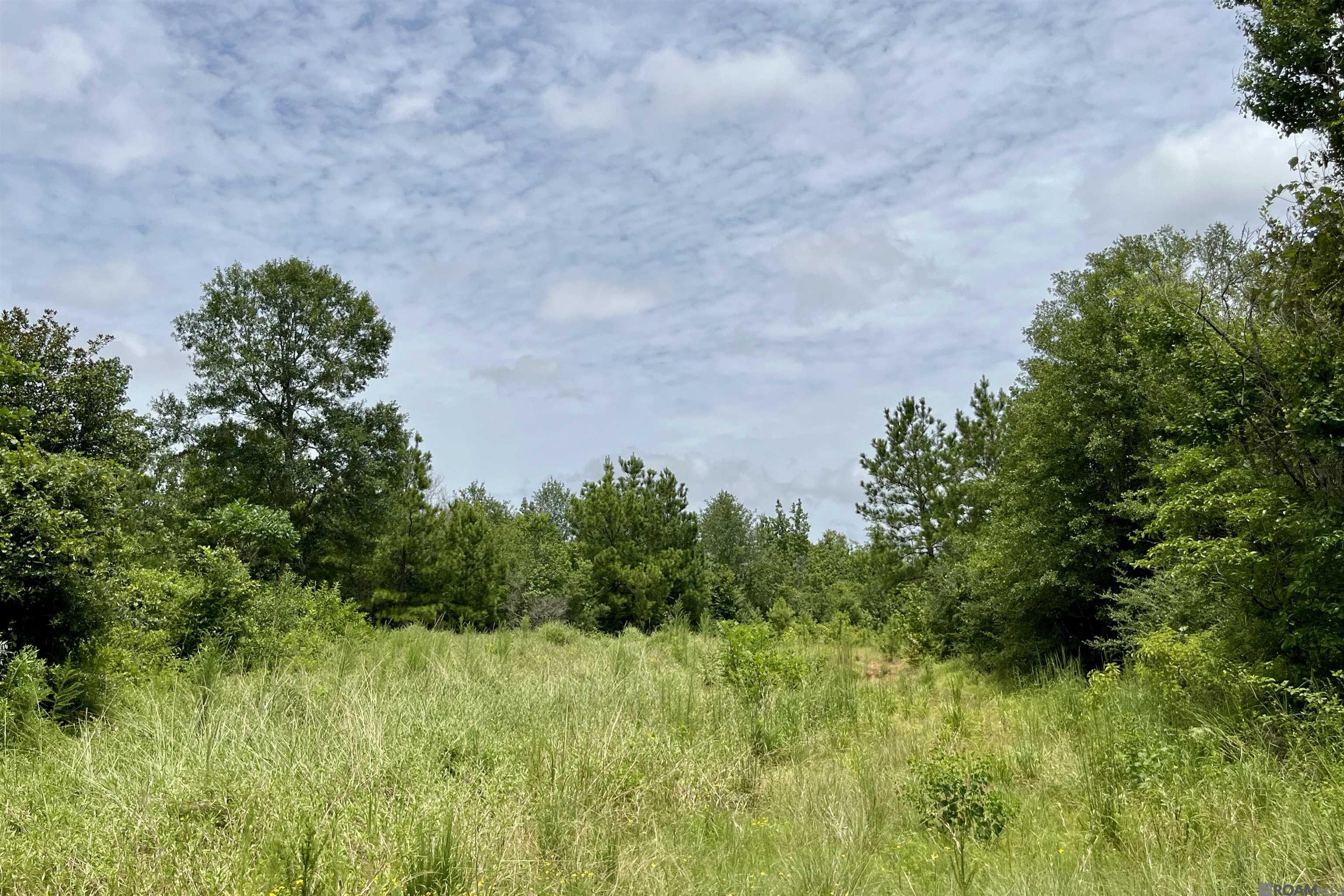 20 La Hwy 960, Clinton, Louisiana image 1