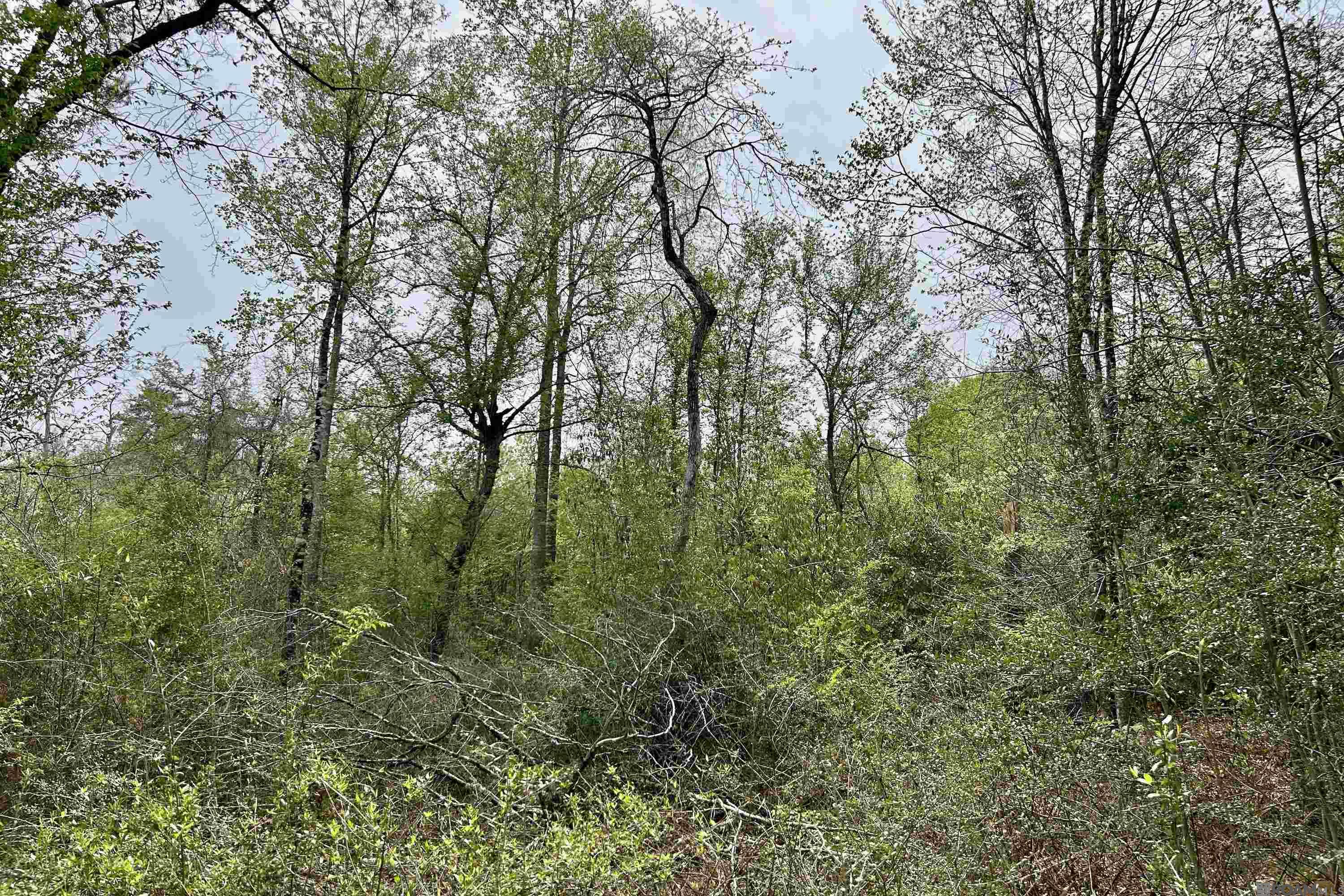 20 La Hwy 960, Clinton, Louisiana image 10
