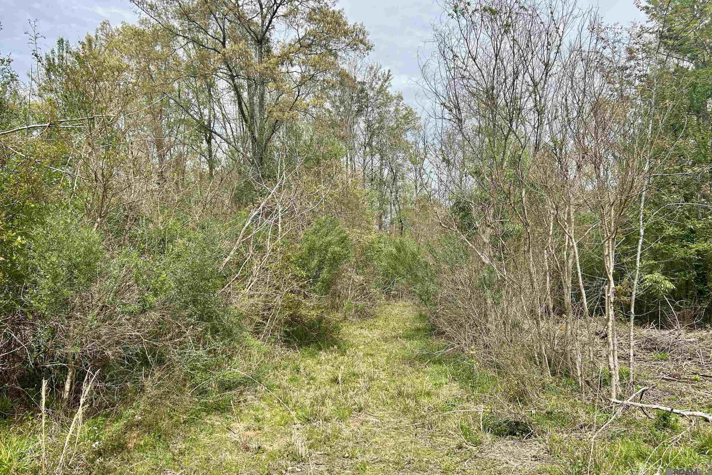 20 La Hwy 960, Clinton, Louisiana image 14
