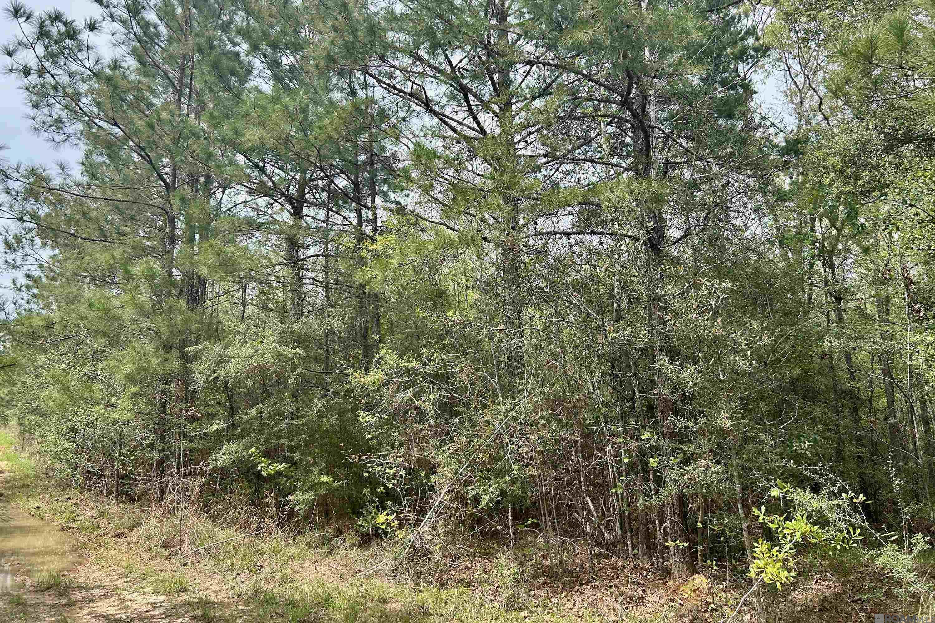 20 La Hwy 960, Clinton, Louisiana image 15