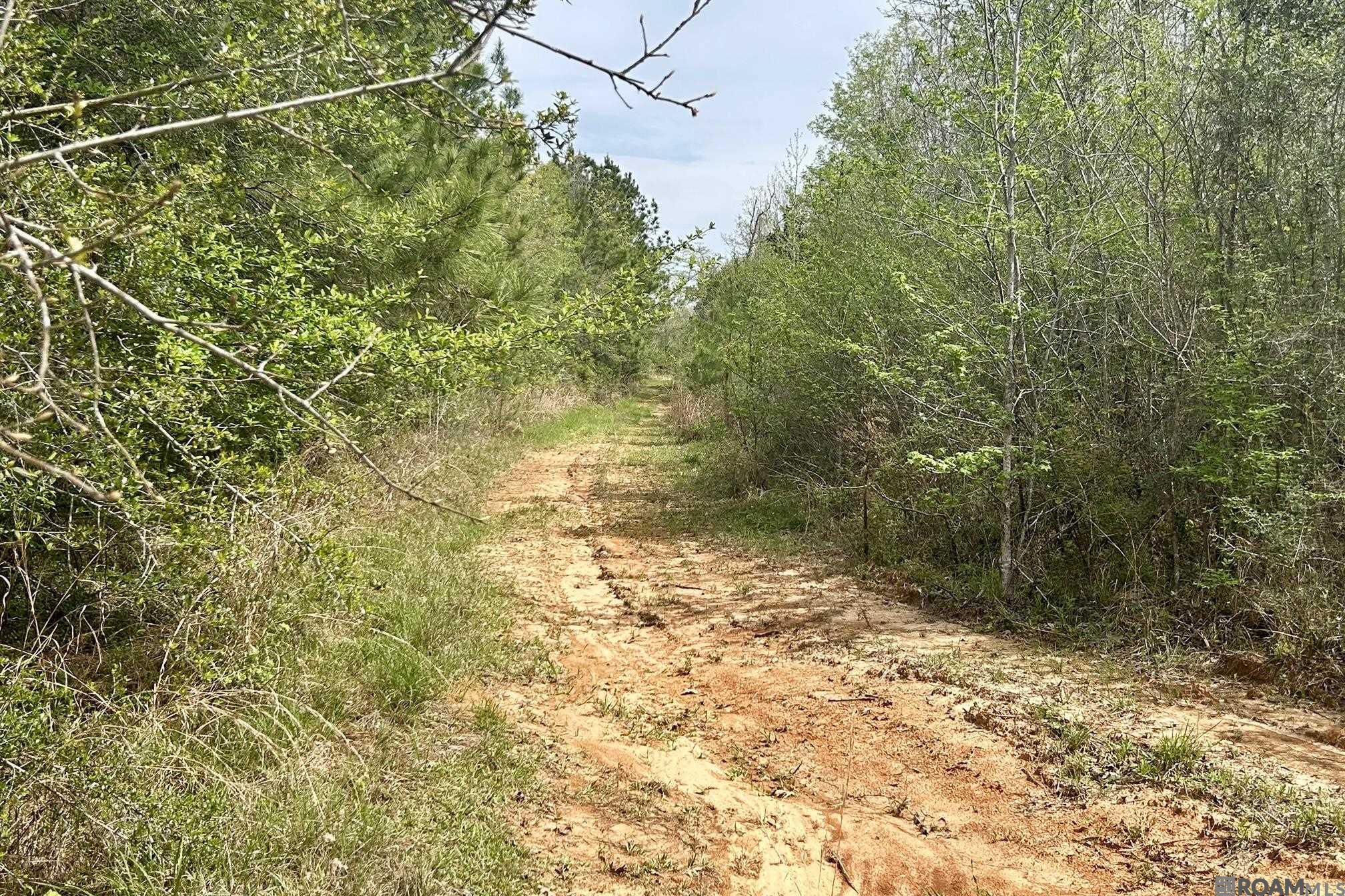20 La Hwy 960, Clinton, Louisiana image 9