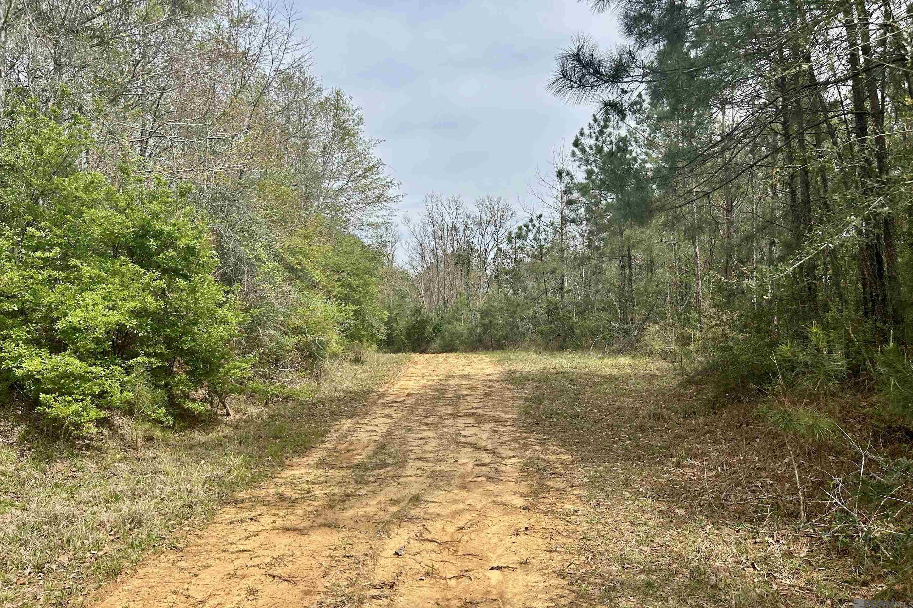 20 La Hwy 960, Clinton, Louisiana image 17