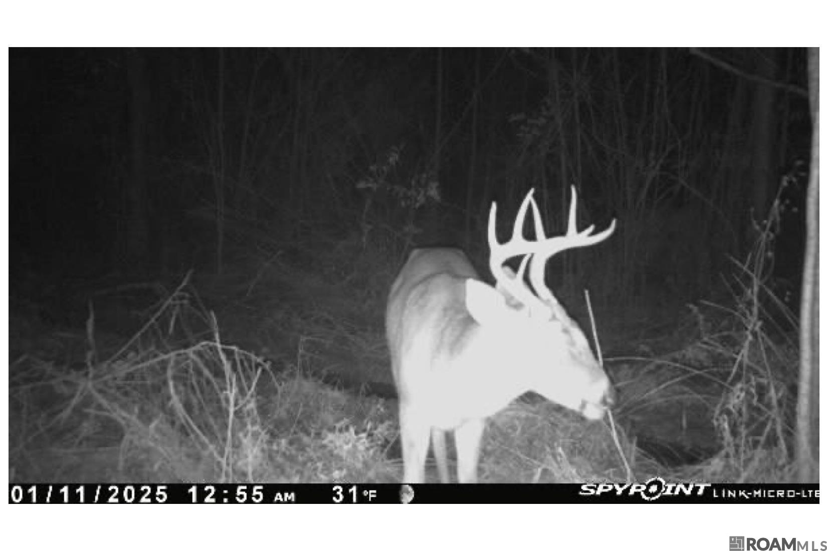 20 La Hwy 960, Clinton, Louisiana image 8