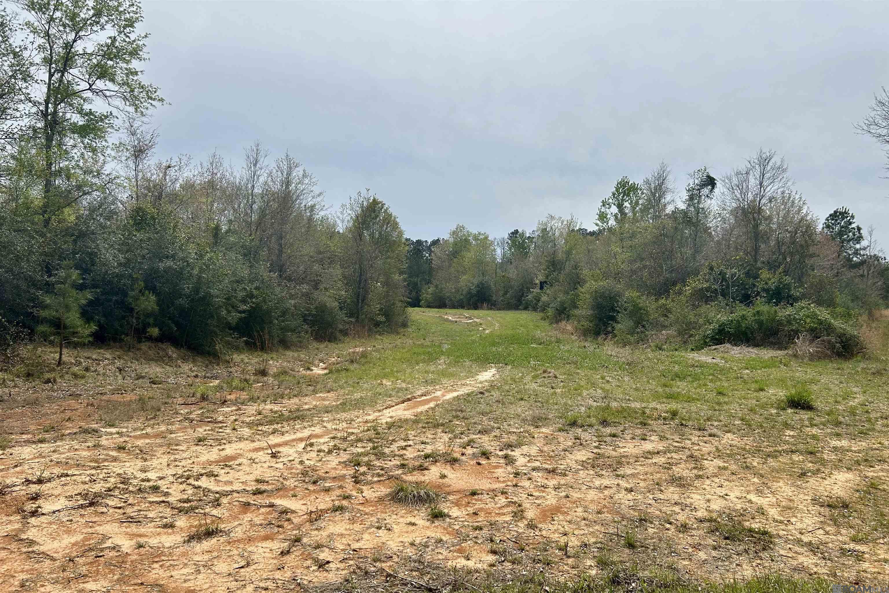 20 La Hwy 960, Clinton, Louisiana image 11