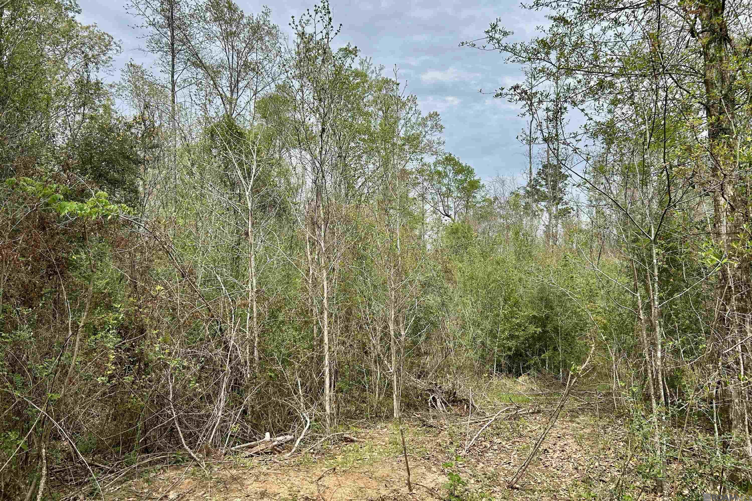 20 La Hwy 960, Clinton, Louisiana image 12
