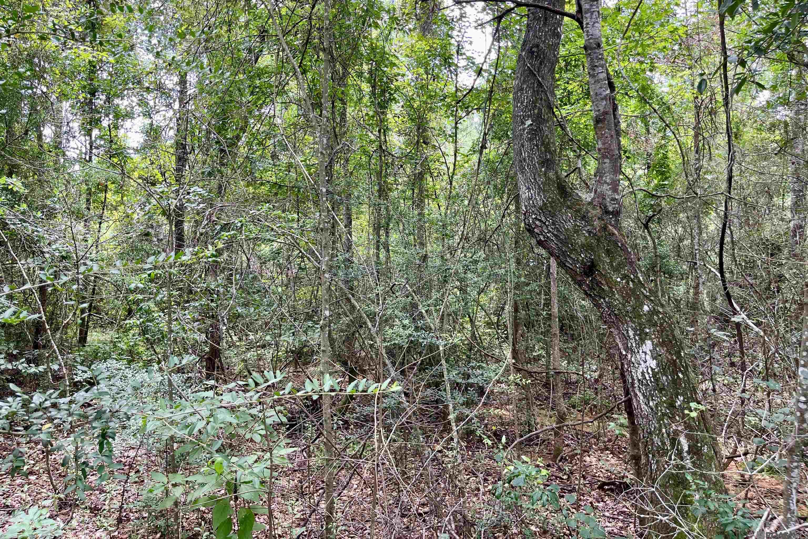 20 La Hwy 960, Clinton, Louisiana image 16