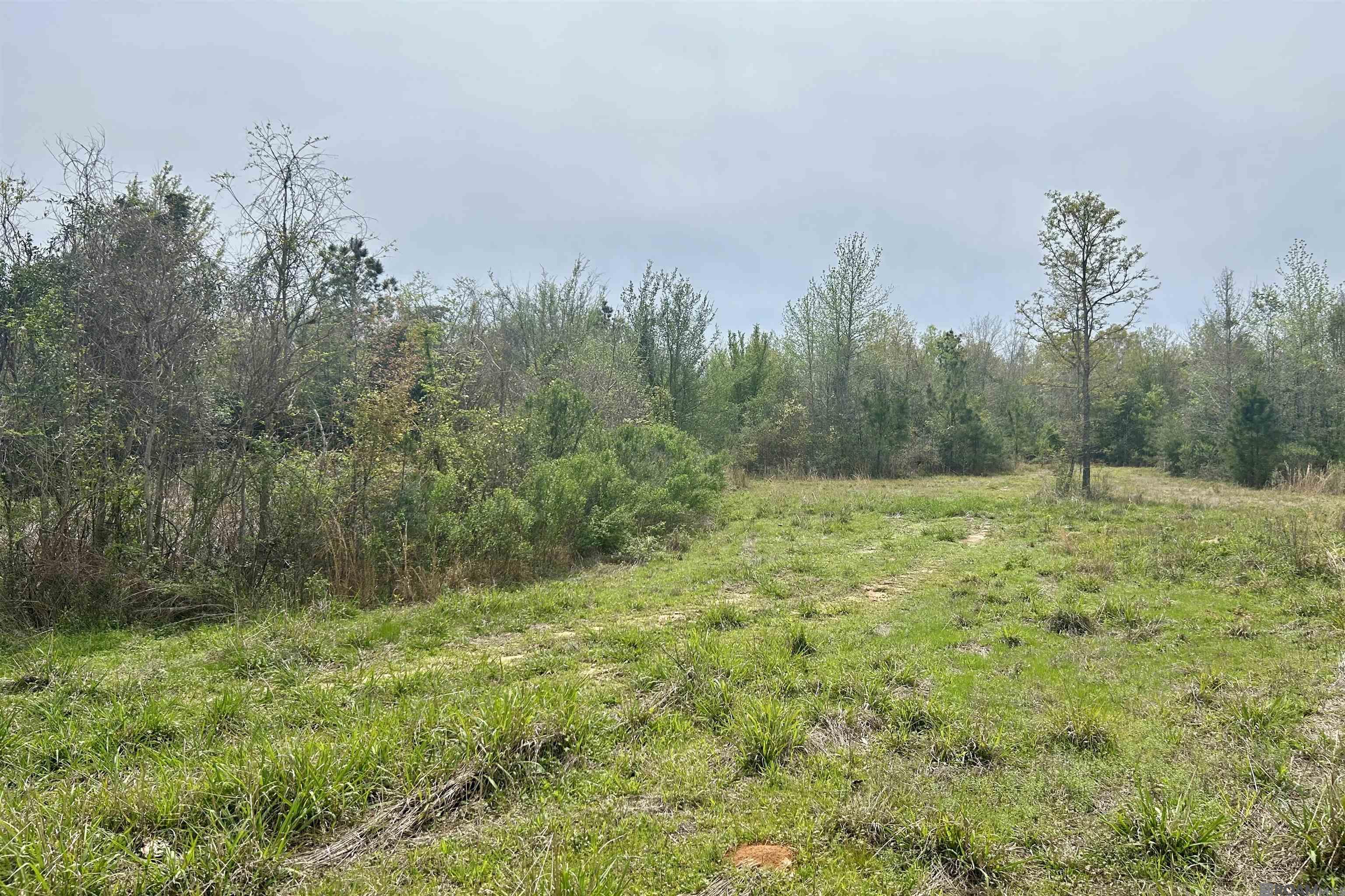20 La Hwy 960, Clinton, Louisiana image 5