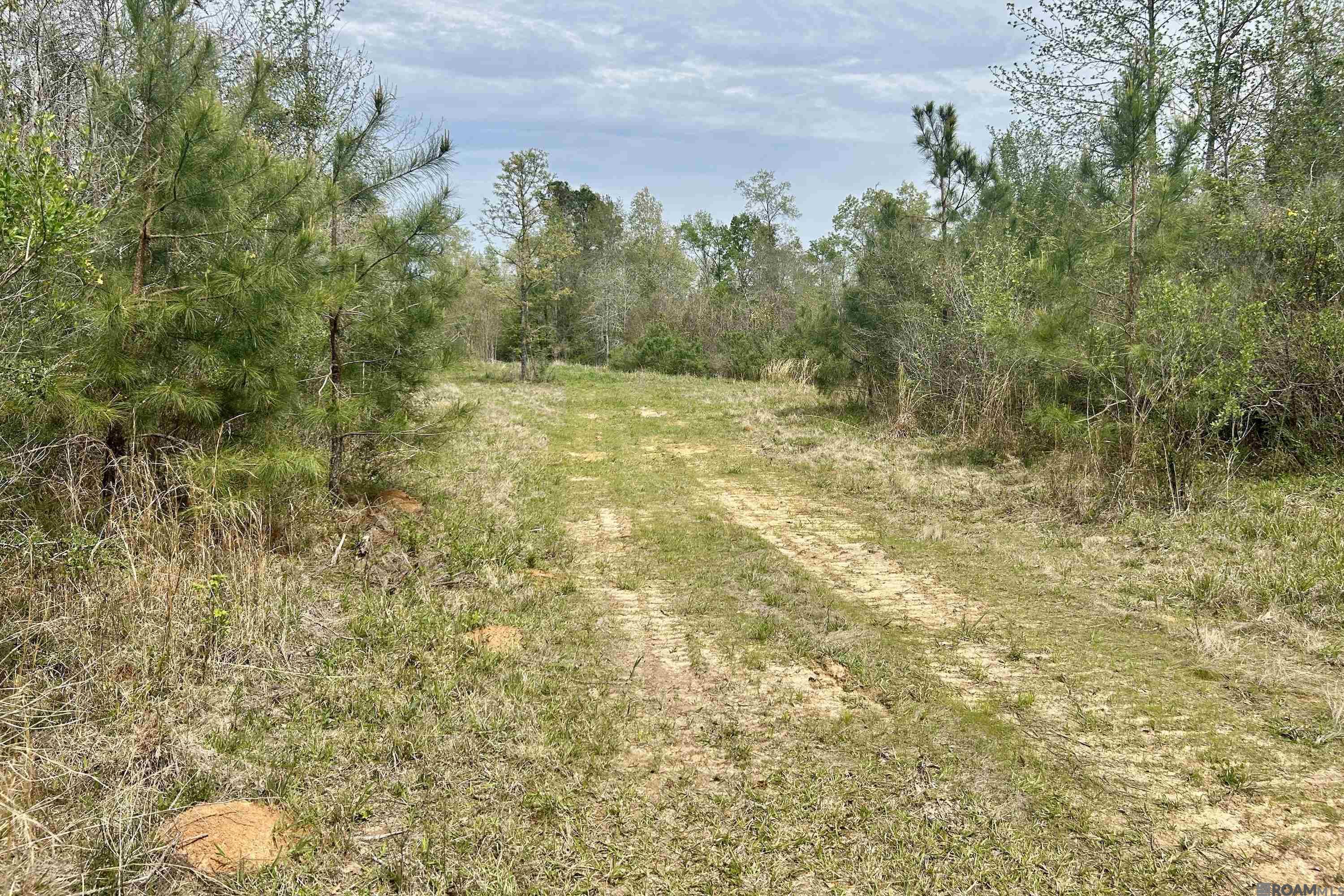 20 La Hwy 960, Clinton, Louisiana image 6