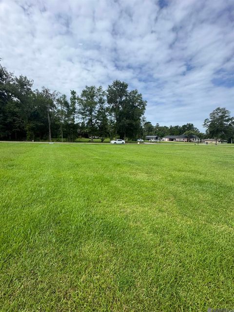Vacant Land For Sale - 10605 Carol Lynn Rd<br/> Livingston County, Denham Springs, LA 70726