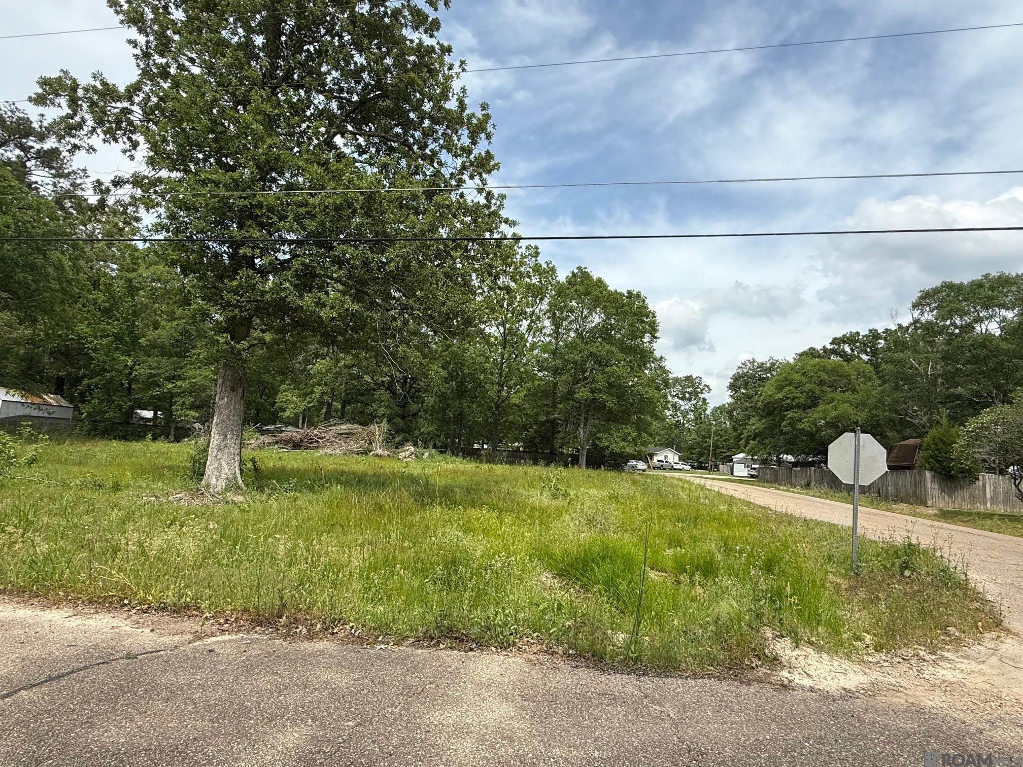 24800 Jay Jay Dr, Denham Springs, Louisiana image 1