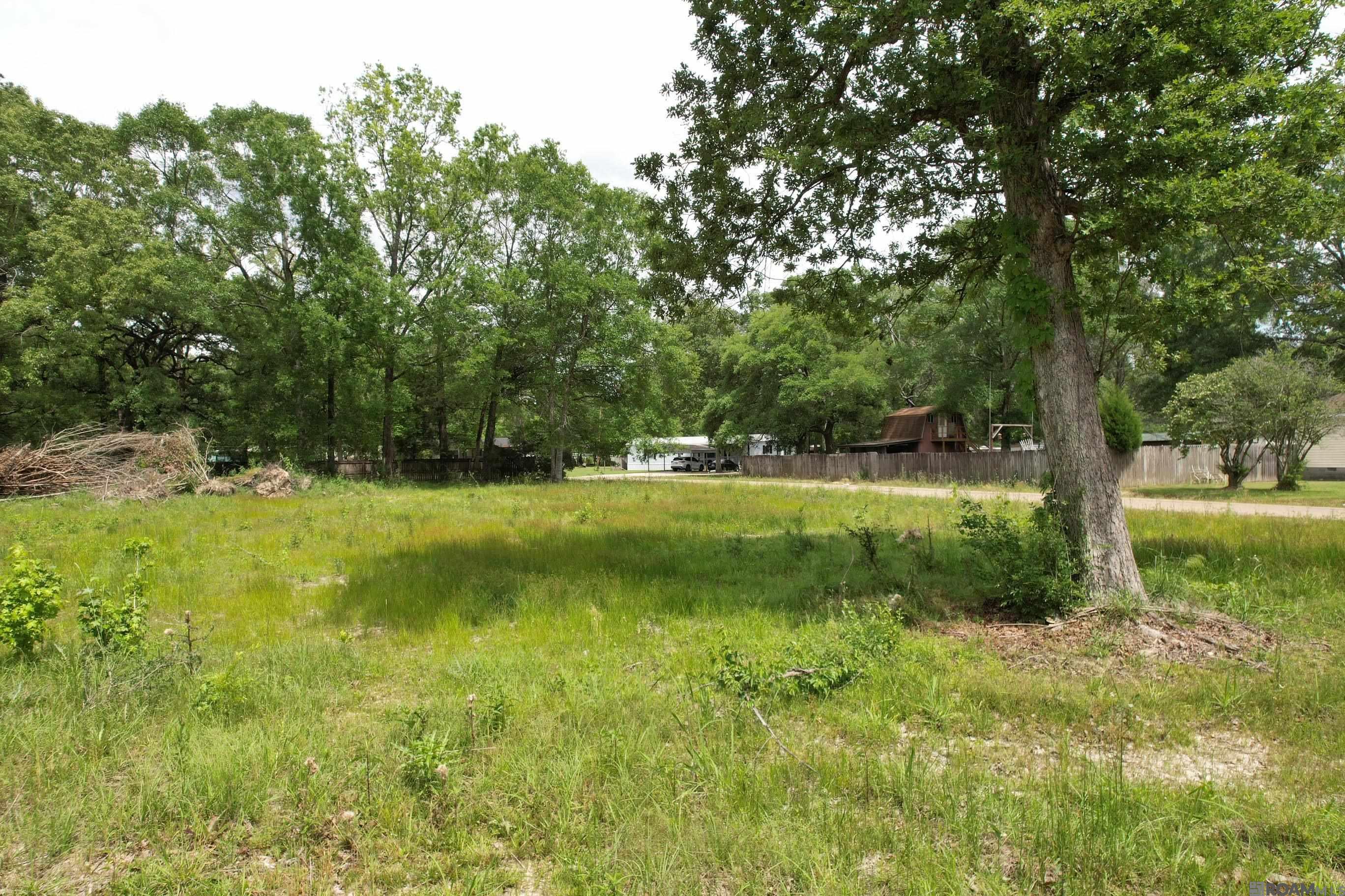 24800 Jay Jay Dr, Denham Springs, Louisiana image 6