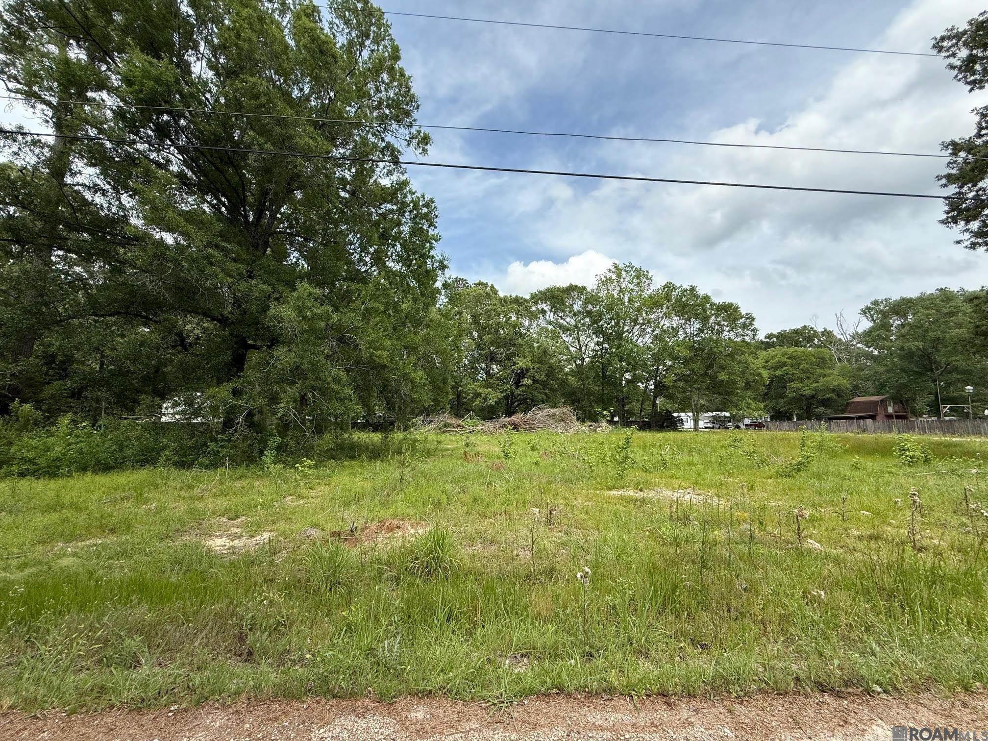 24800 Jay Jay Dr, Denham Springs, Louisiana image 2