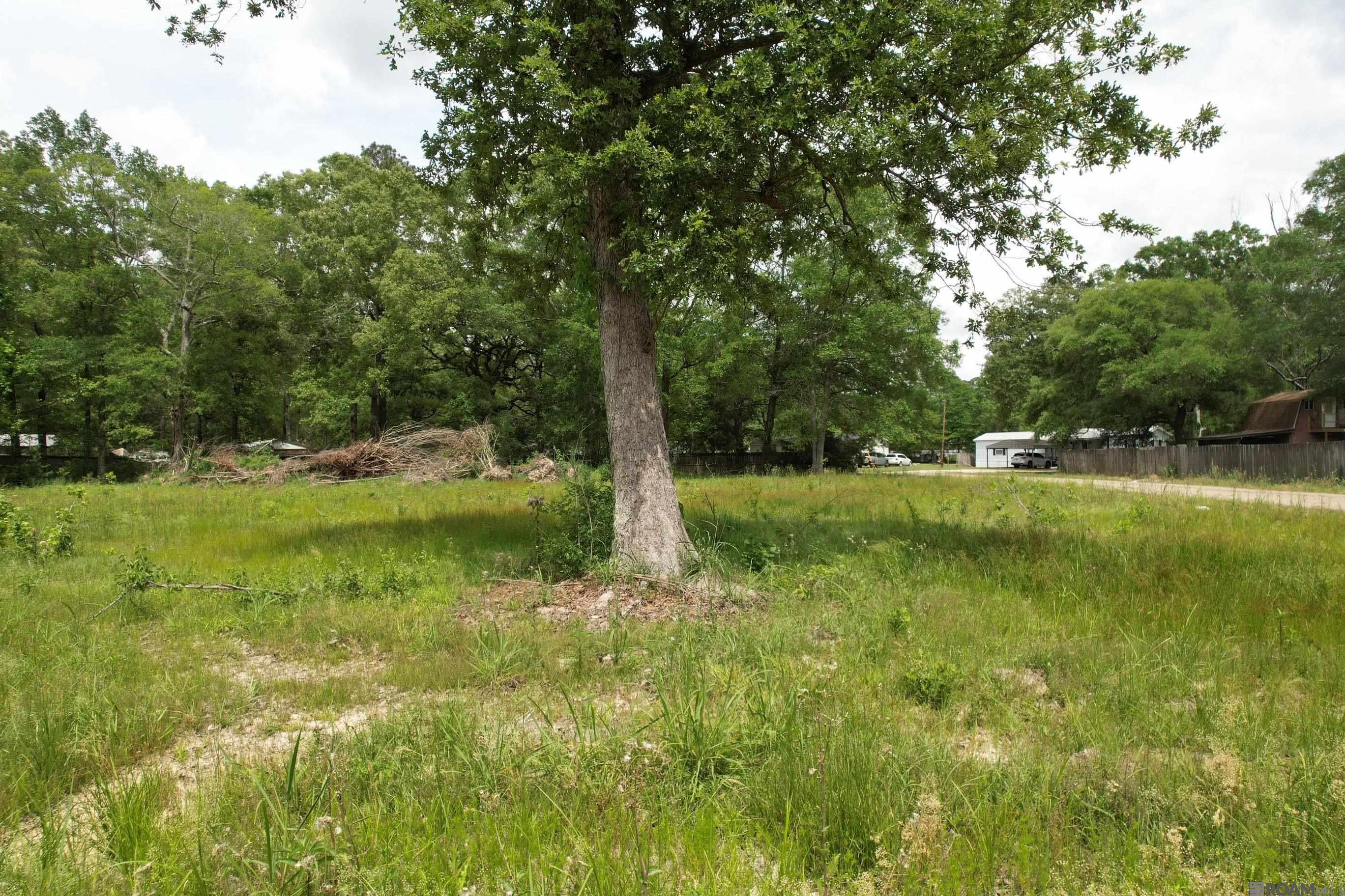 24800 Jay Jay Dr, Denham Springs, Louisiana image 7