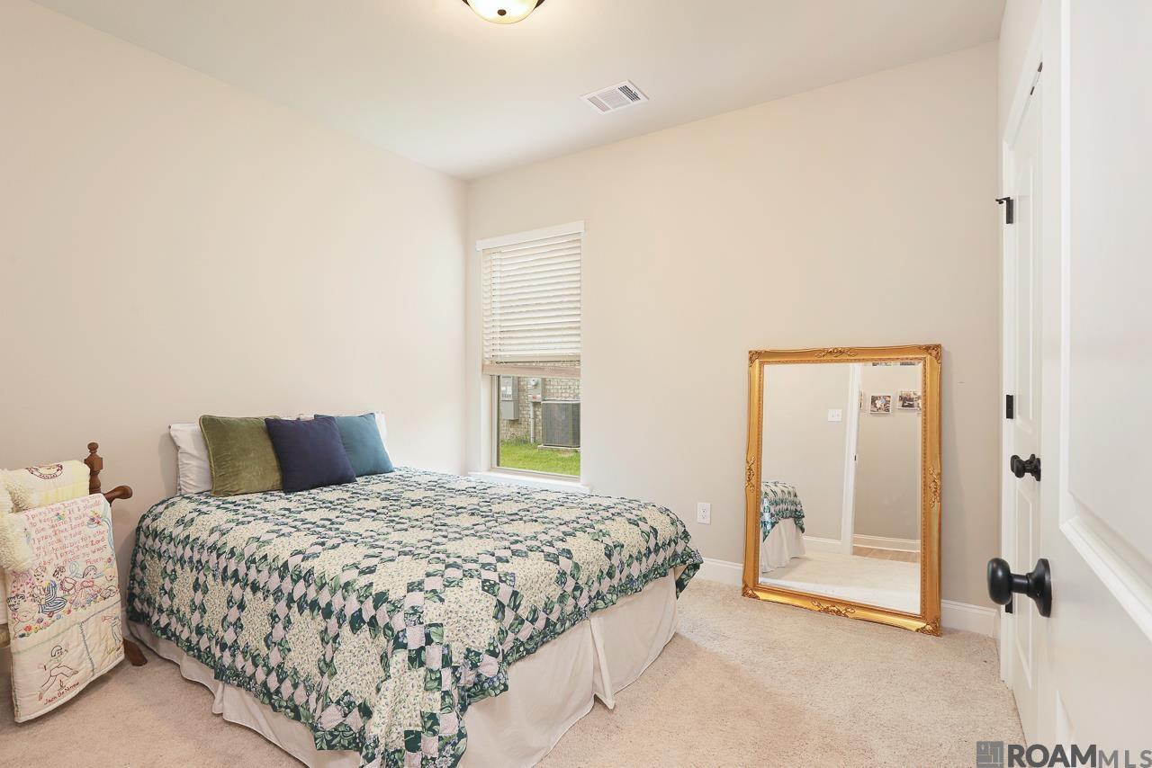 17041 Shearwater Trace, Prairieville, Louisiana image 17