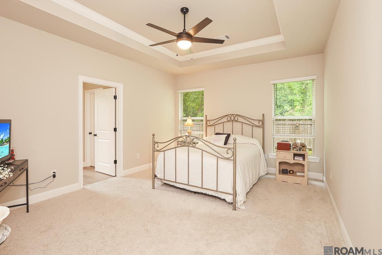 17041 Shearwater Trace, Prairieville, Louisiana image 12