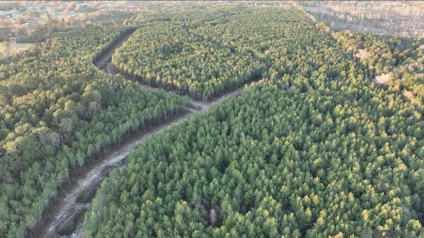 Lot 9 Honey Grove, Livingston, Louisiana image 5