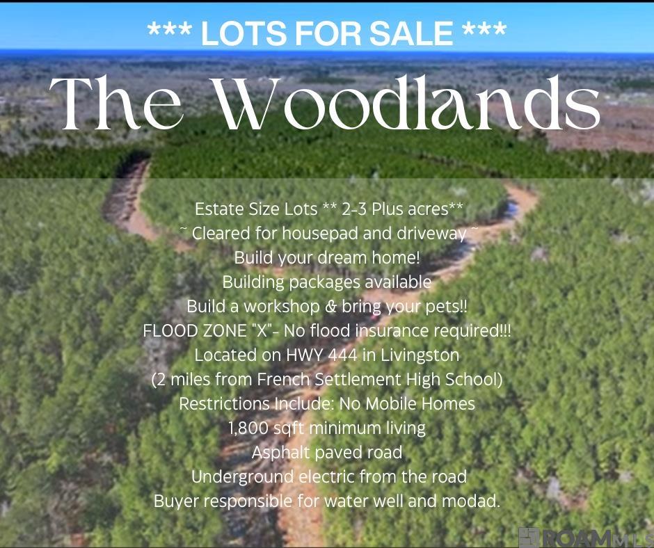 Lot 9 Honey Grove, Livingston, Louisiana image 1