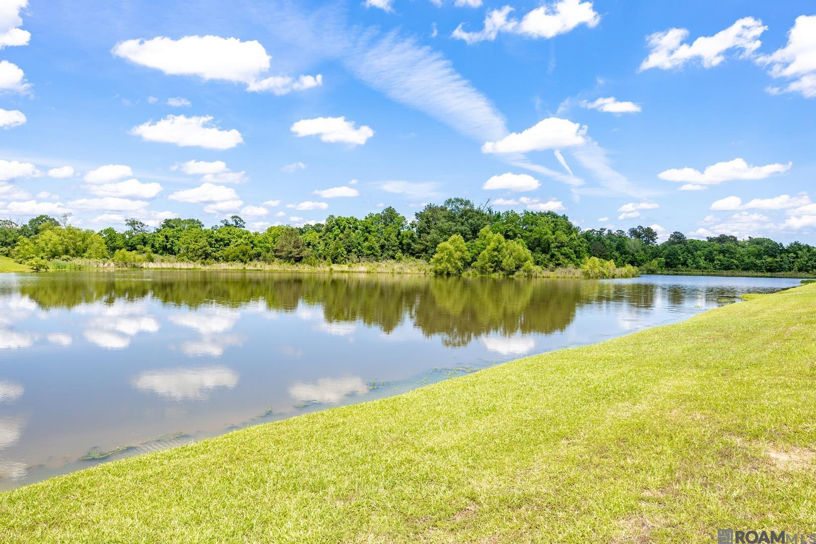42466 Baystone Ave, Prairieville, Louisiana image 20