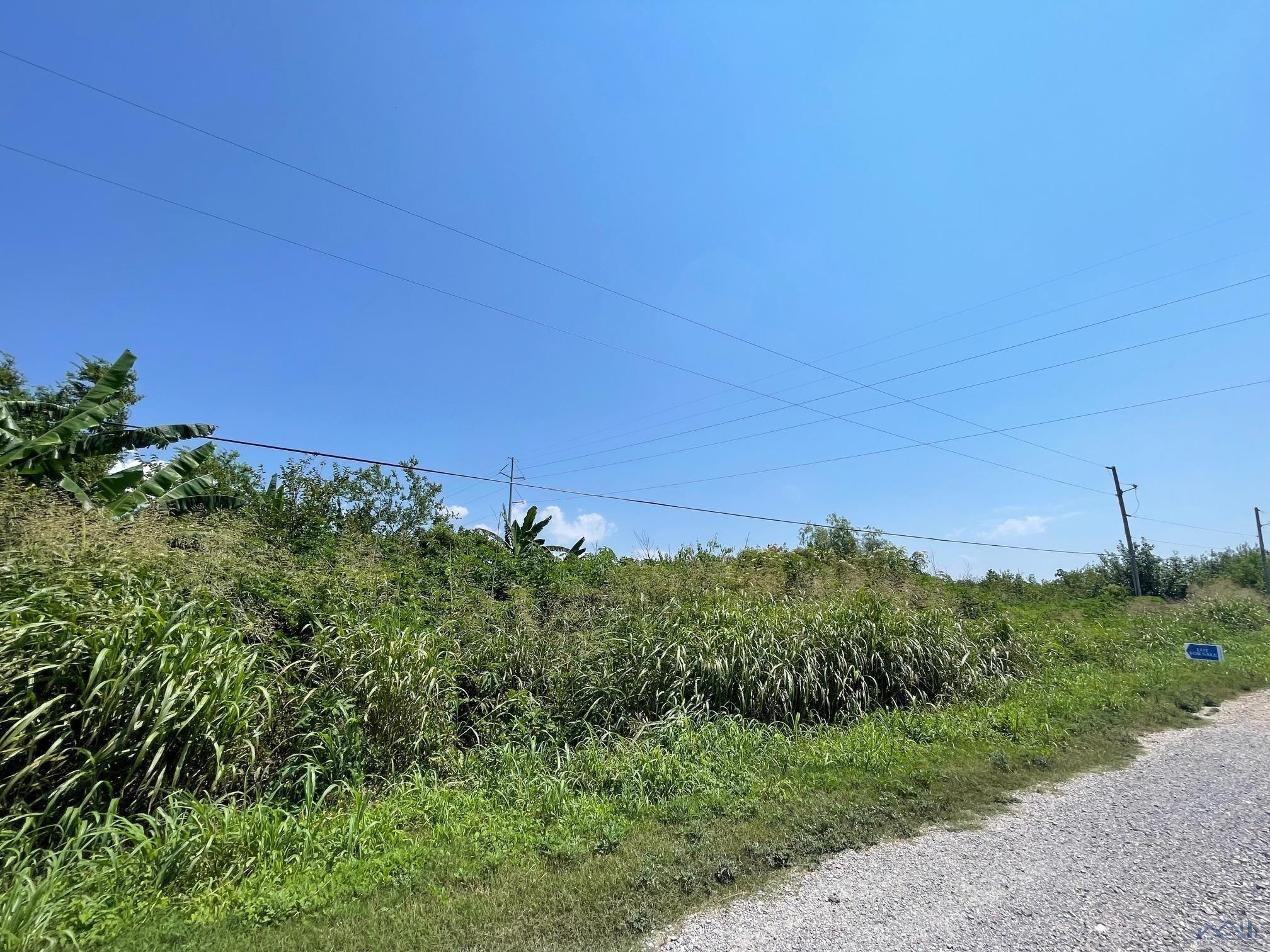 Lot 8 Blk. 1 East 93rd Street, Cut Off, Louisiana image 2