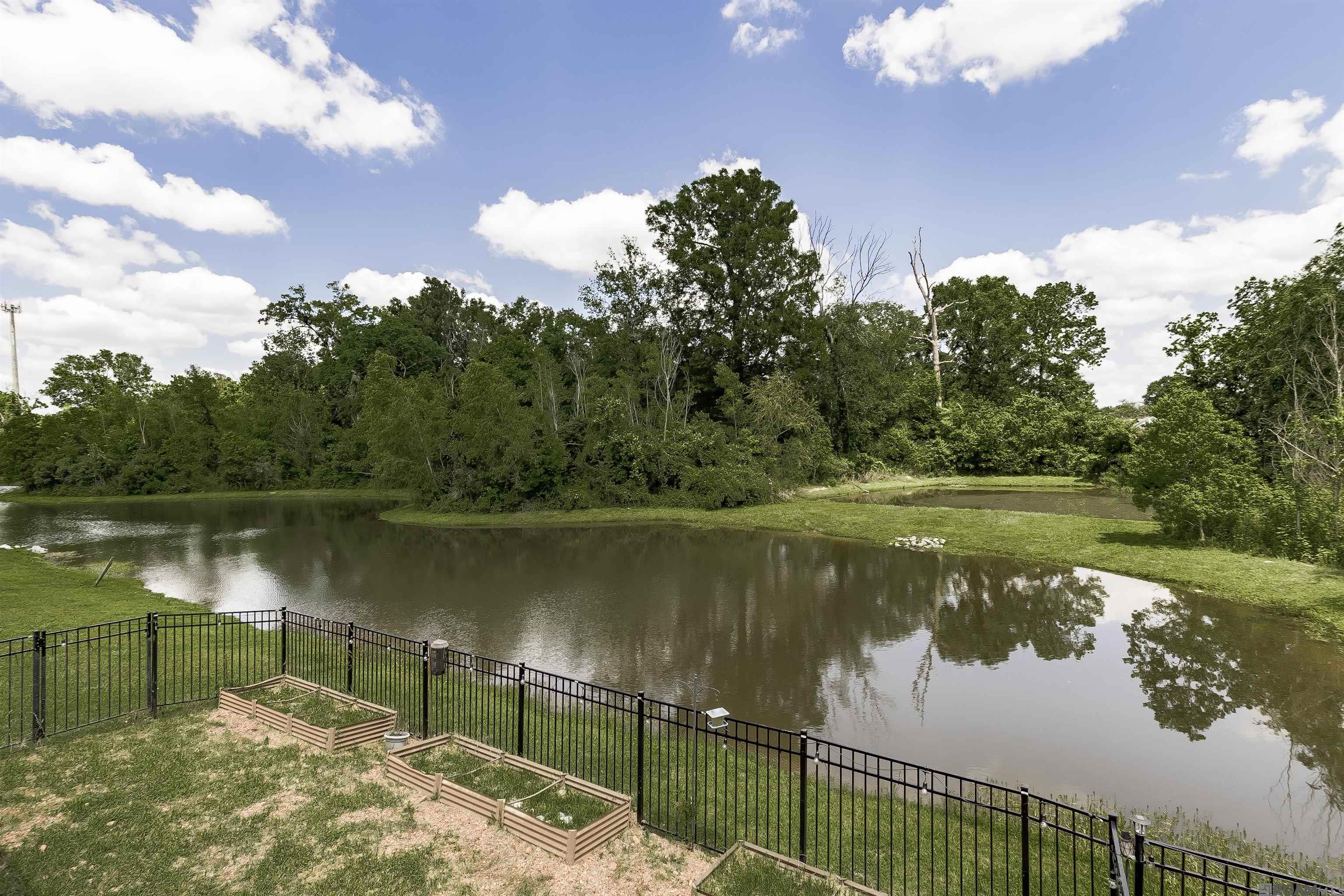 1339 Hickory Creek Dr, Baton Rouge, Louisiana image 19