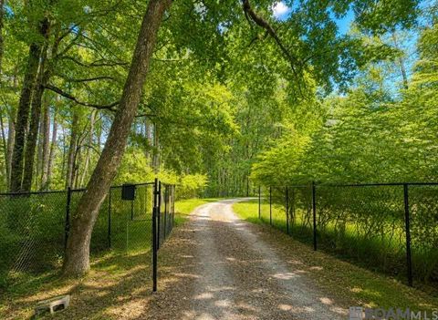 Vacant Land For Sale - 10700 Buddy Ellis Rd<br/> Livingston County, Denham Springs, LA 70726