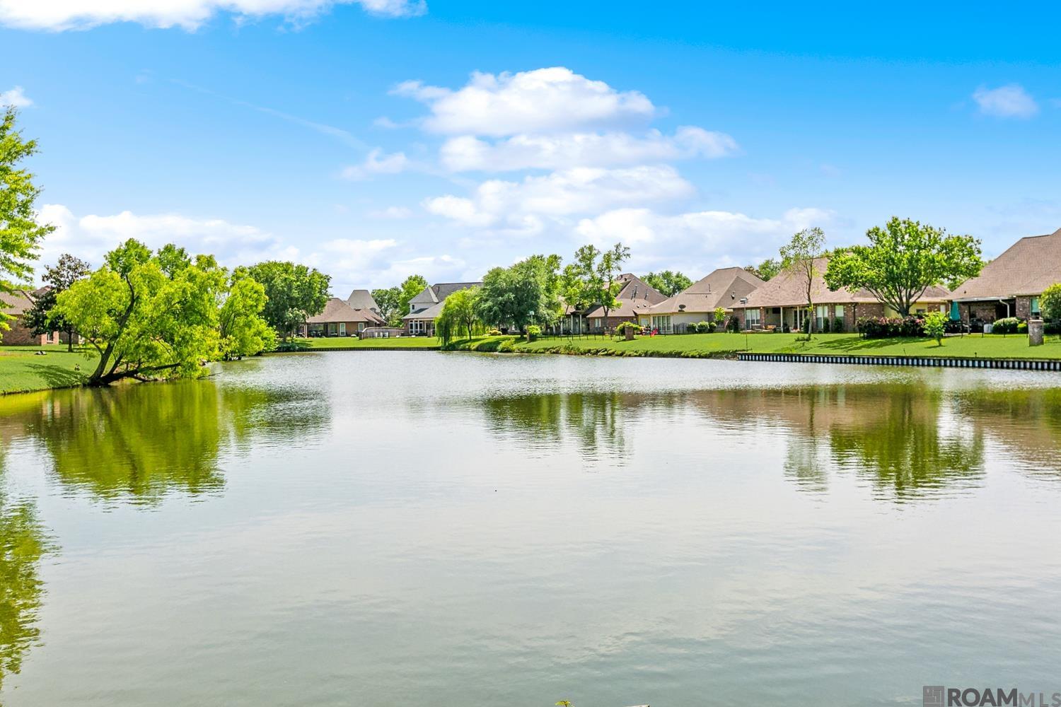 40267 Swan Cir, Gonzales, Louisiana image 33