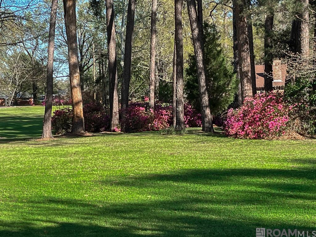 1055 N River Rd, Denham Springs, Louisiana image 20