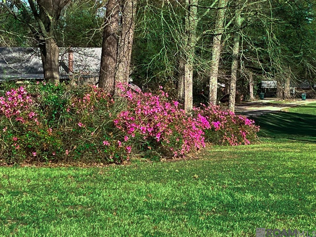 1055 N River Rd, Denham Springs, Louisiana image 22