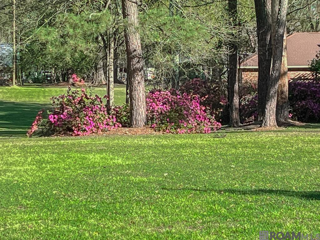 1055 N River Rd, Denham Springs, Louisiana image 21