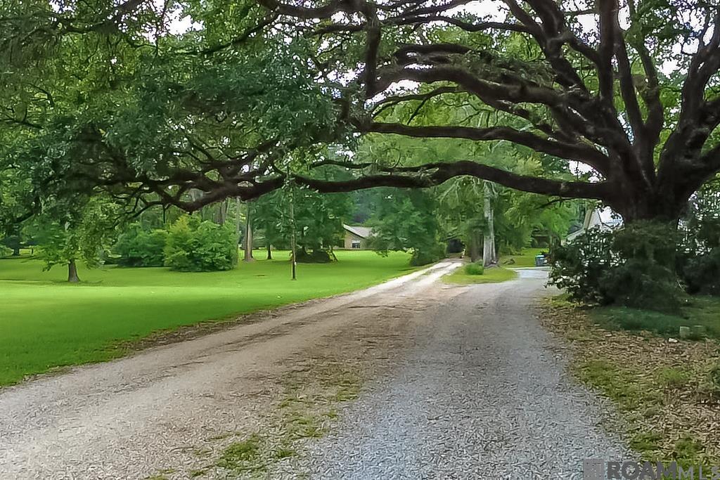 1055 N River Rd, Denham Springs, Louisiana image 3