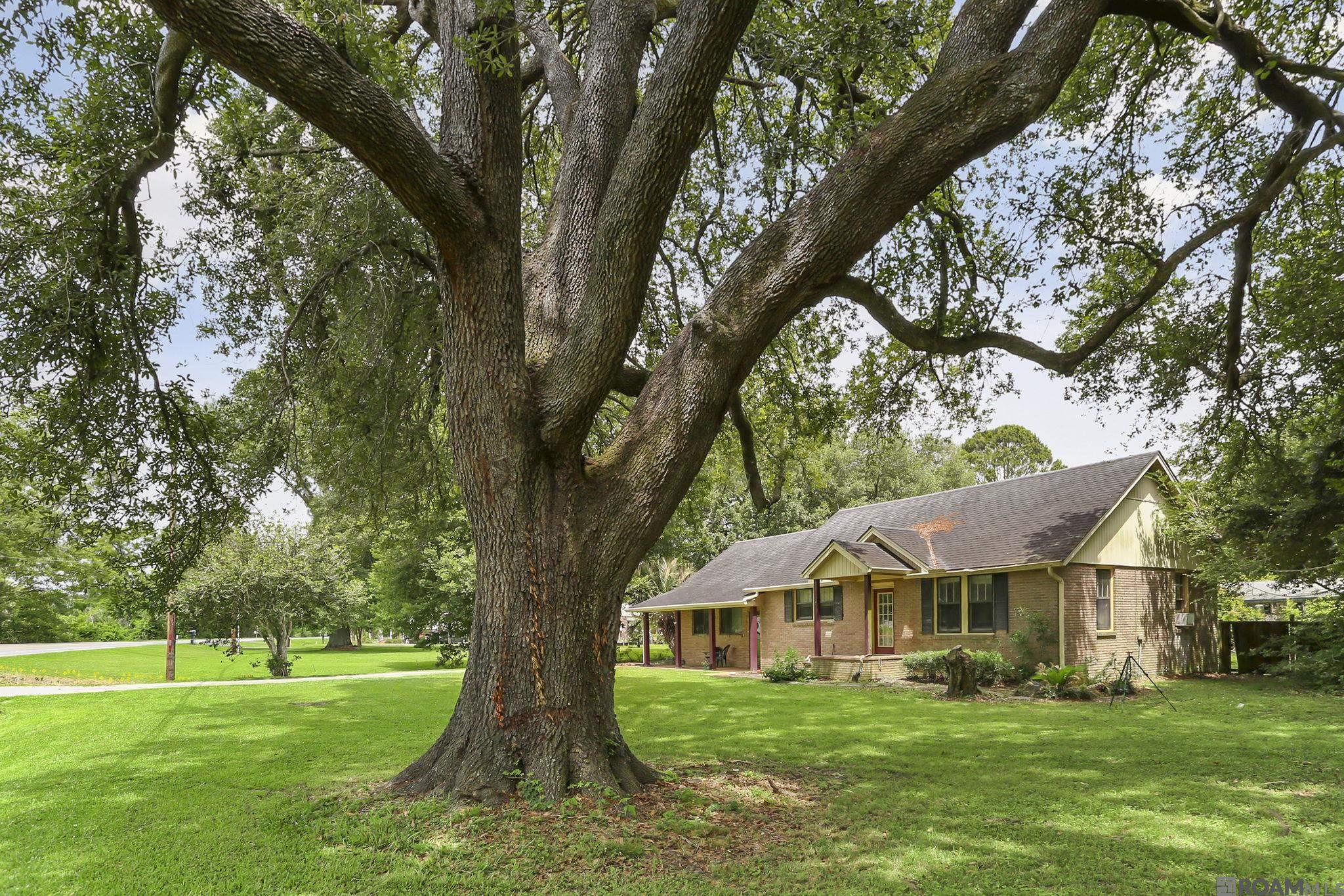 62400 Bayou Jacob Rd, Plaquemine, Louisiana image 1