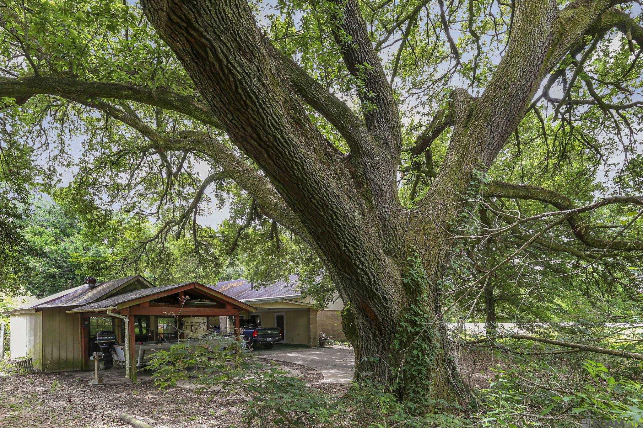 62400 Bayou Jacob Rd, Plaquemine, Louisiana image 7