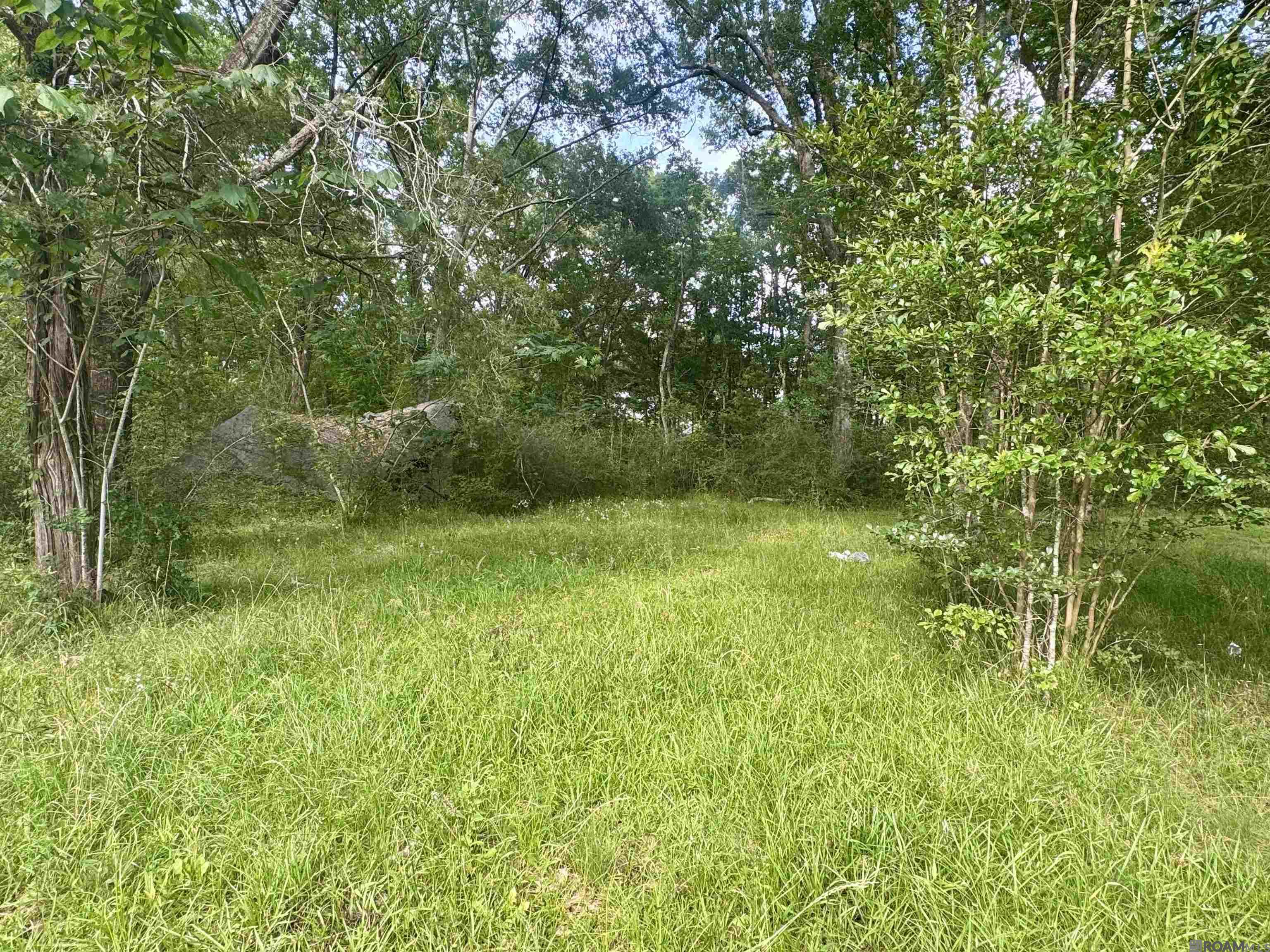 1306 Hazeloak Dr, Baker, Louisiana image 2
