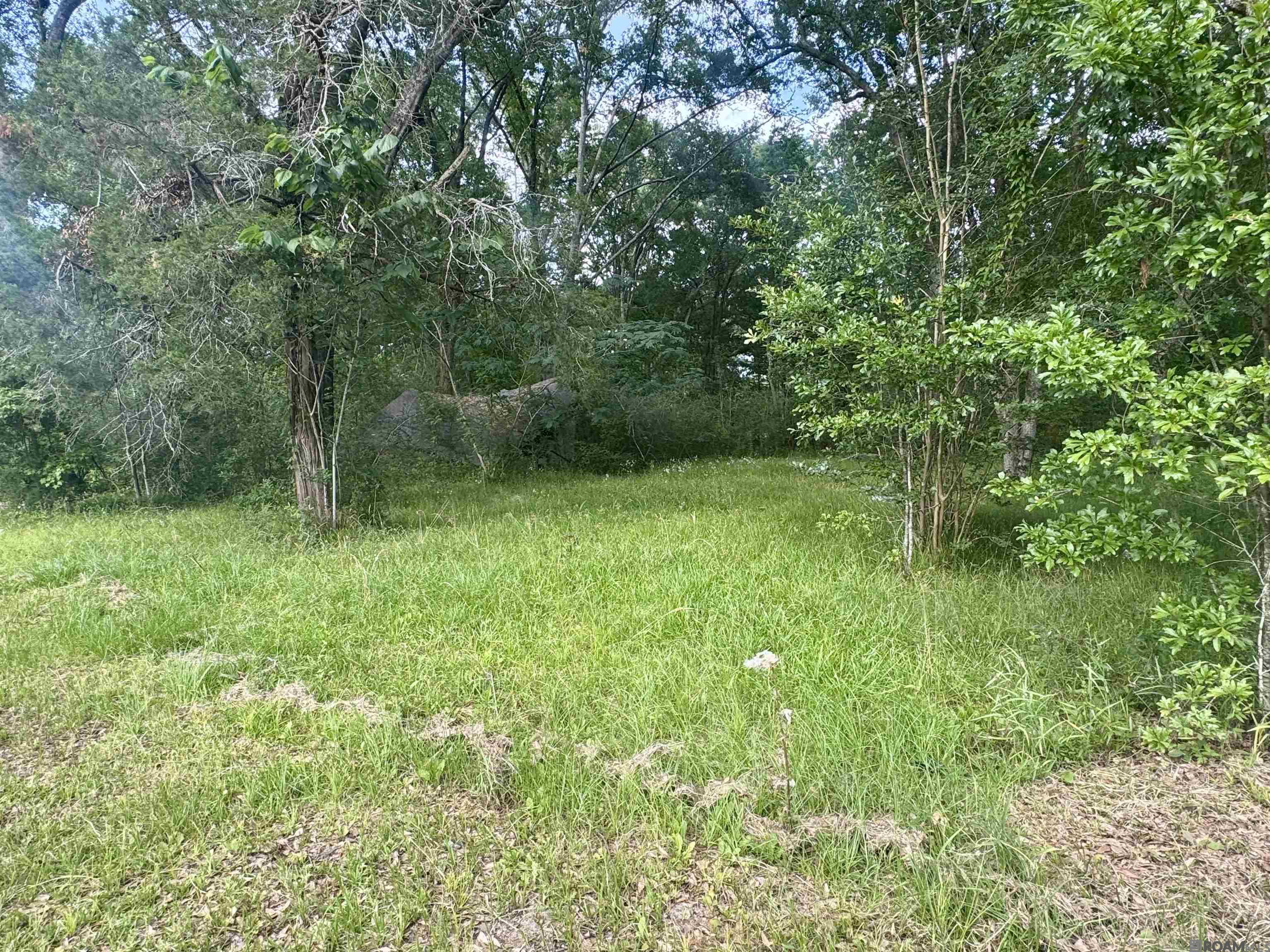 1306 Hazeloak Dr, Baker, Louisiana image 4