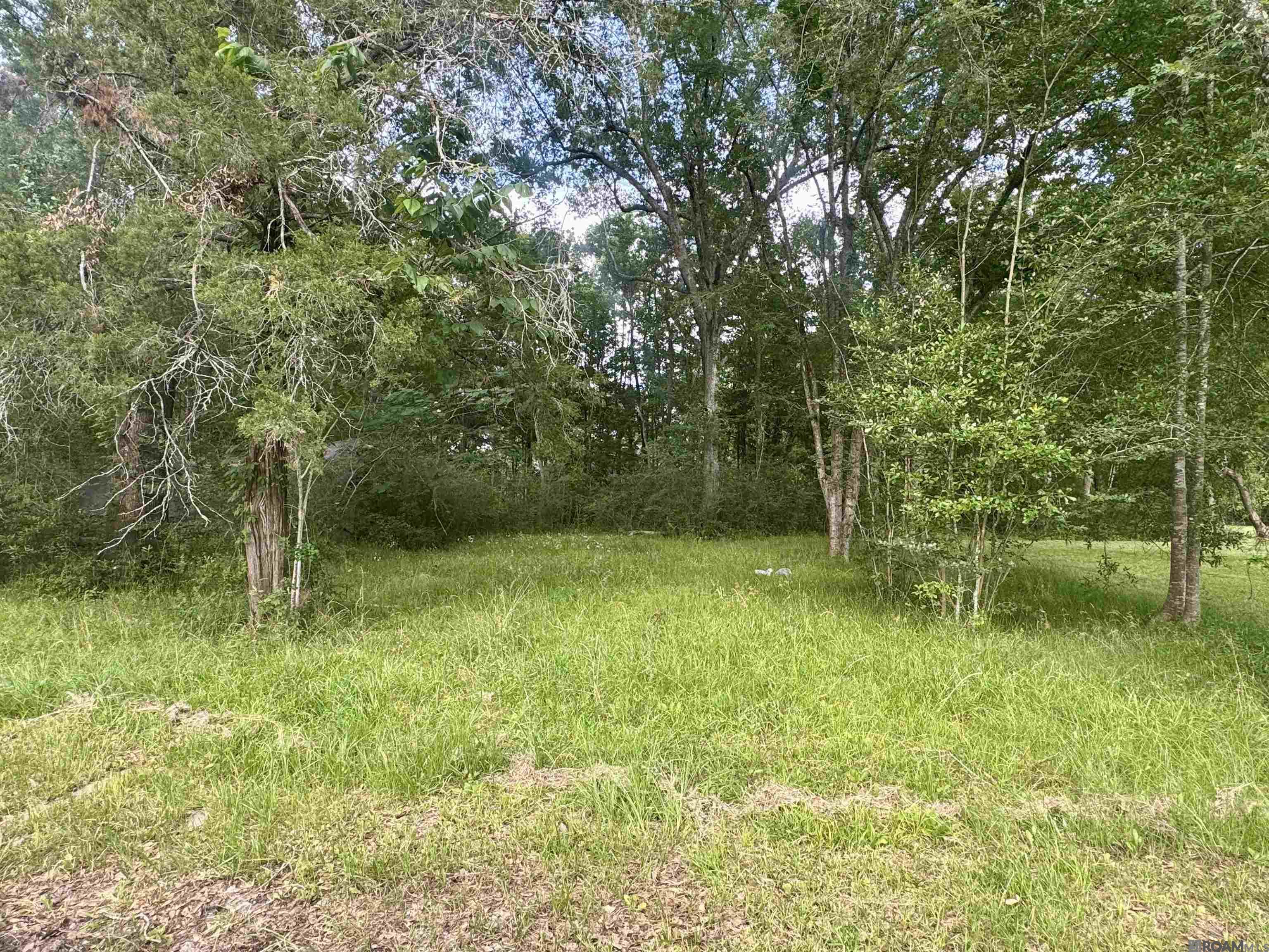 1306 Hazeloak Dr, Baker, Louisiana image 1