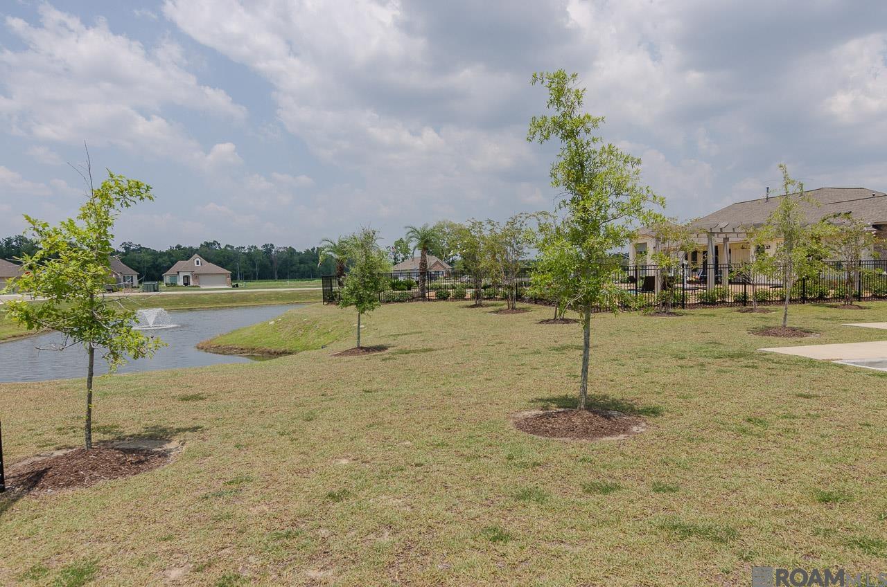 7787 Antebellum Ave, Baton Rouge, Louisiana image 20
